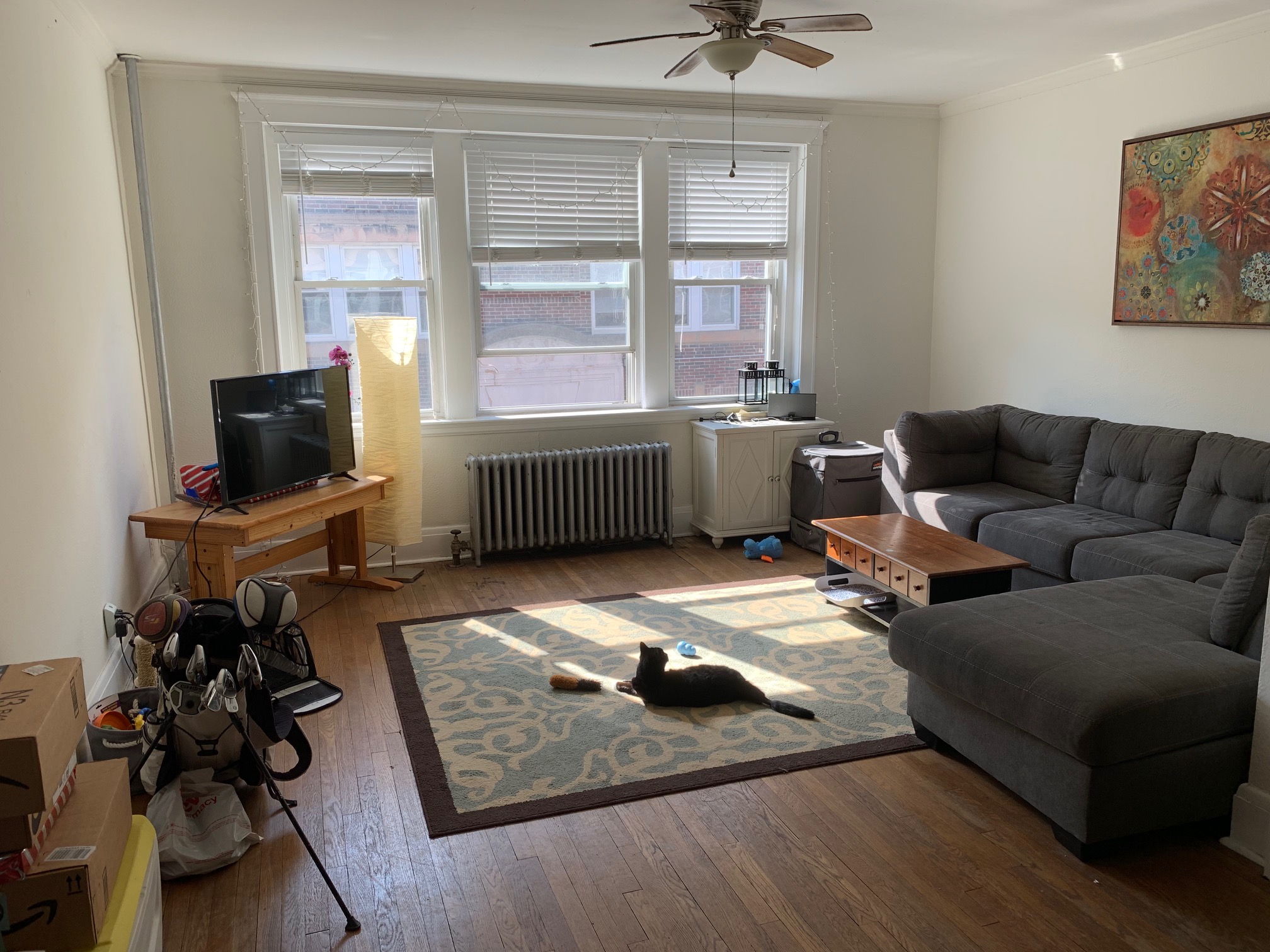 46 Longwood Ave, Coolidge Corner