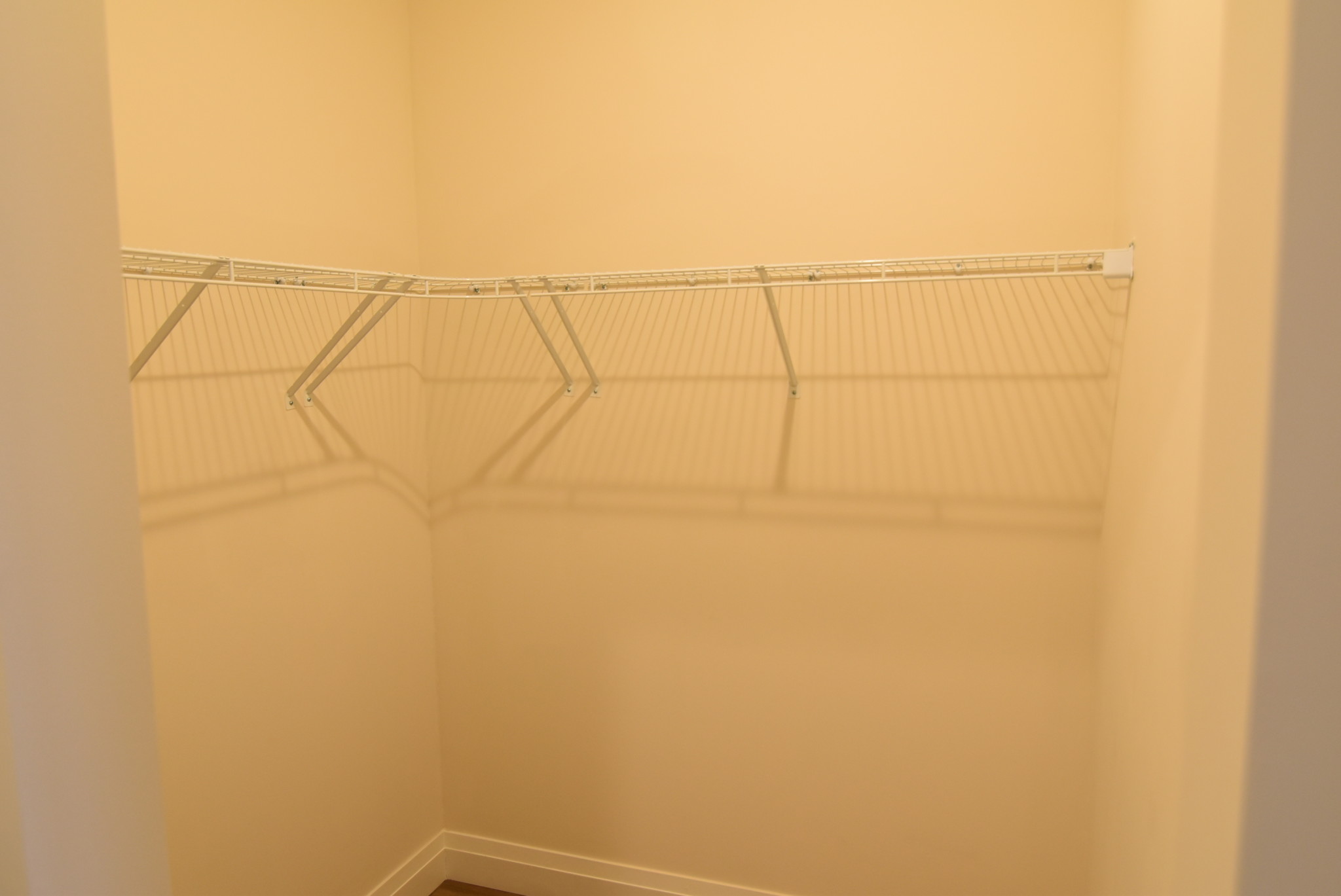 28 Austin, Newtonville