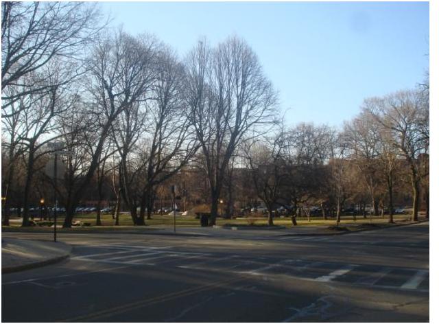 316 Saint Paul St, Coolidge Corner