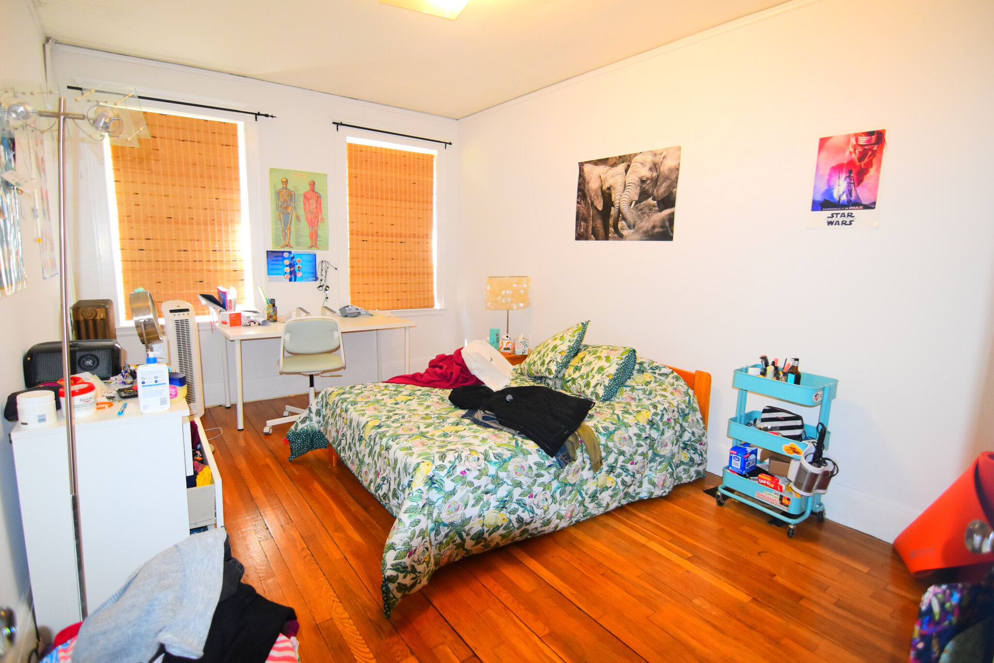 46 Longwood Ave, Coolidge Corner