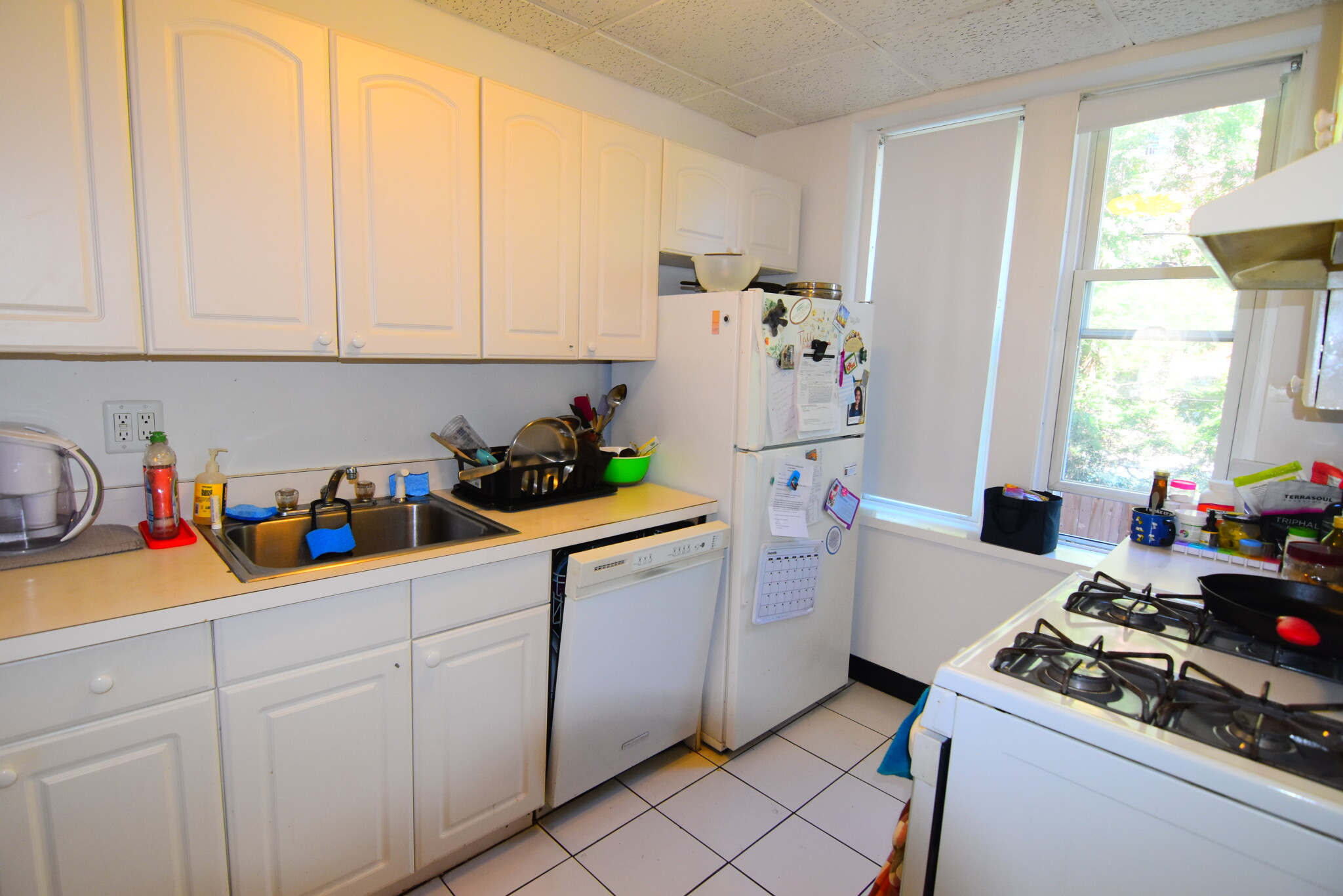 46 Longwood Ave, Coolidge Corner