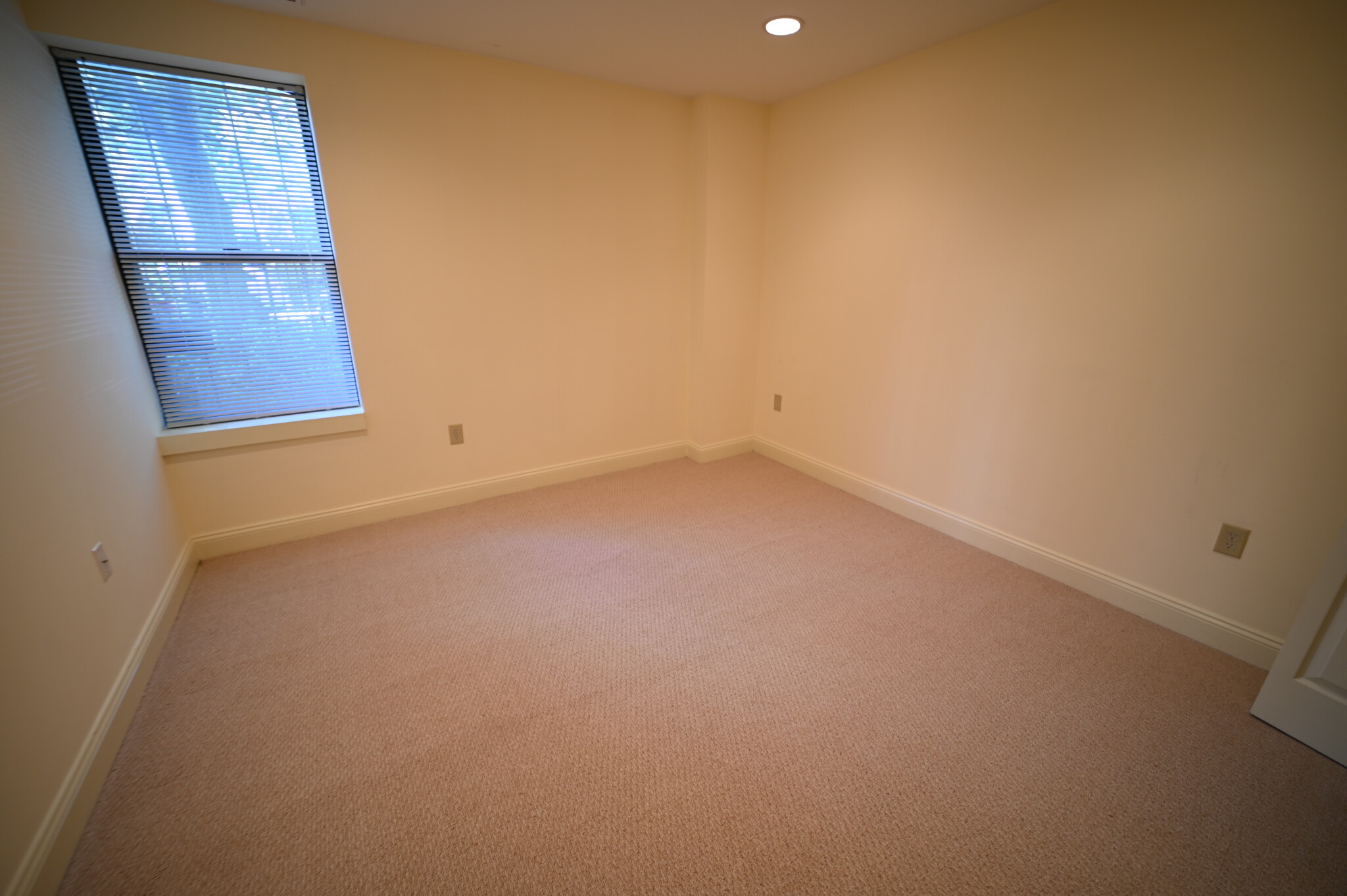 100 Jersey St, Fenway