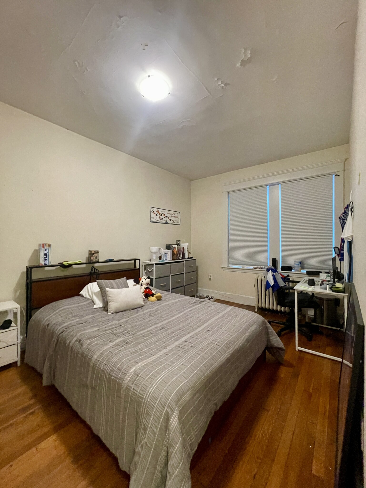 316 Saint Paul St, Coolidge Corner