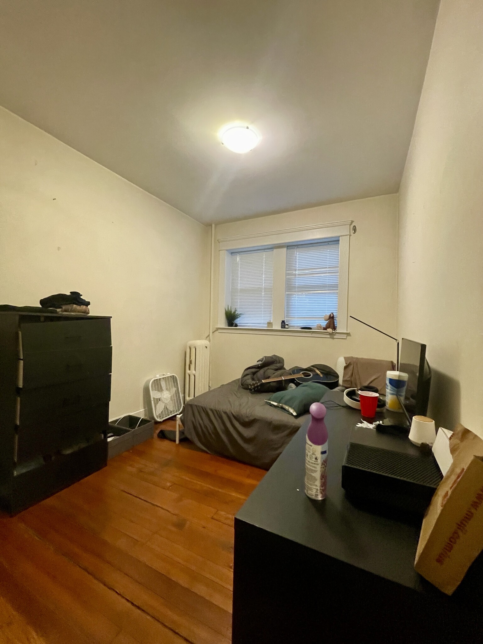 316 Saint Paul St, Coolidge Corner