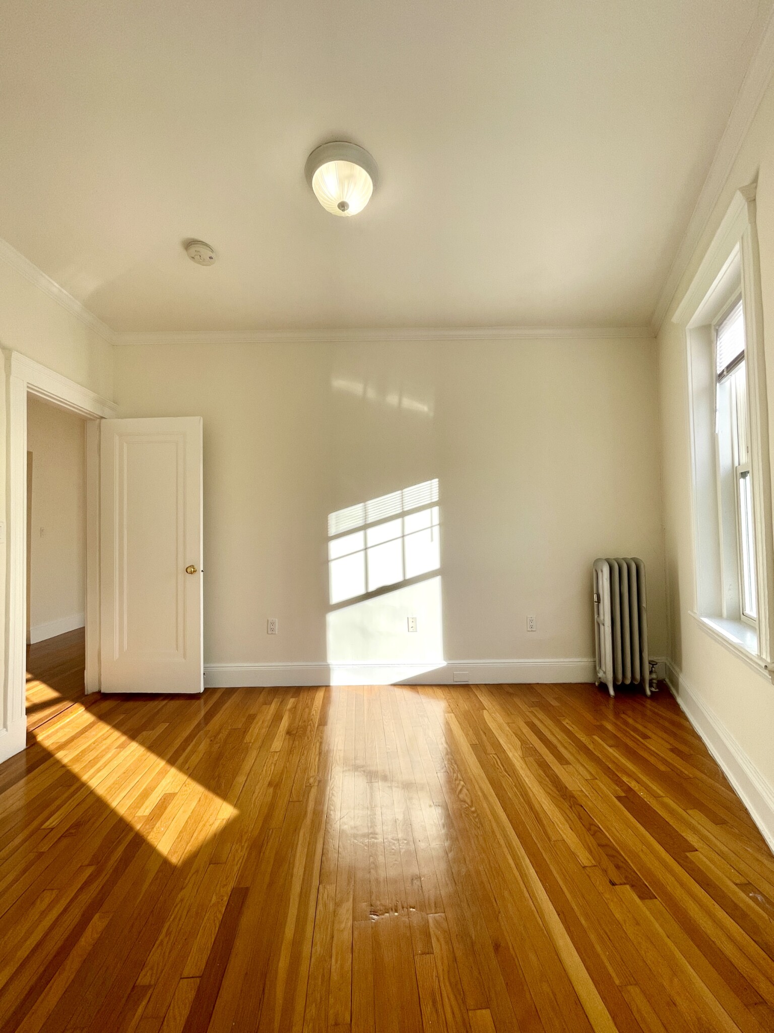 115 Kilsyth Rd, Brighton