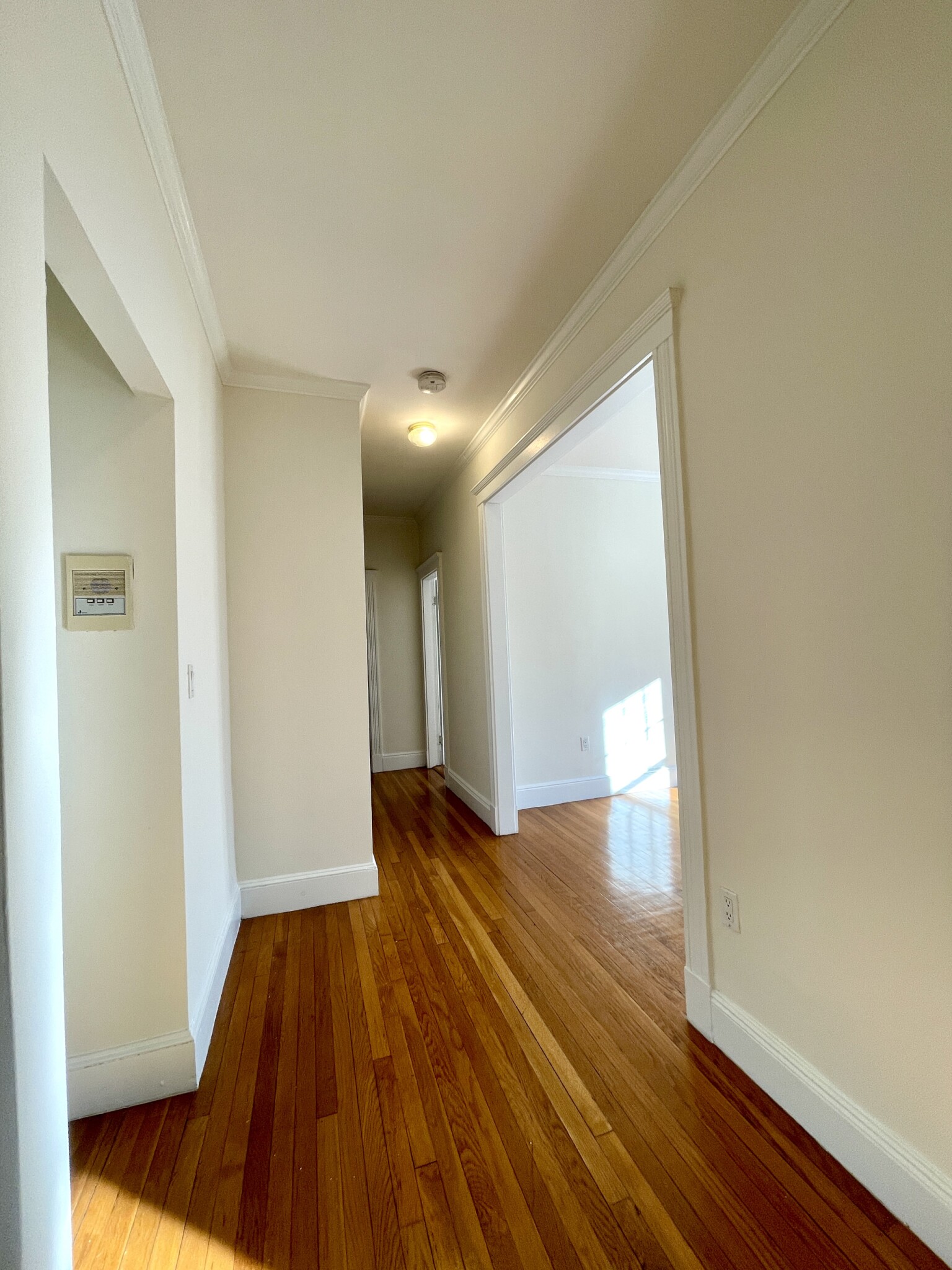 115 Kilsyth Rd, Brighton