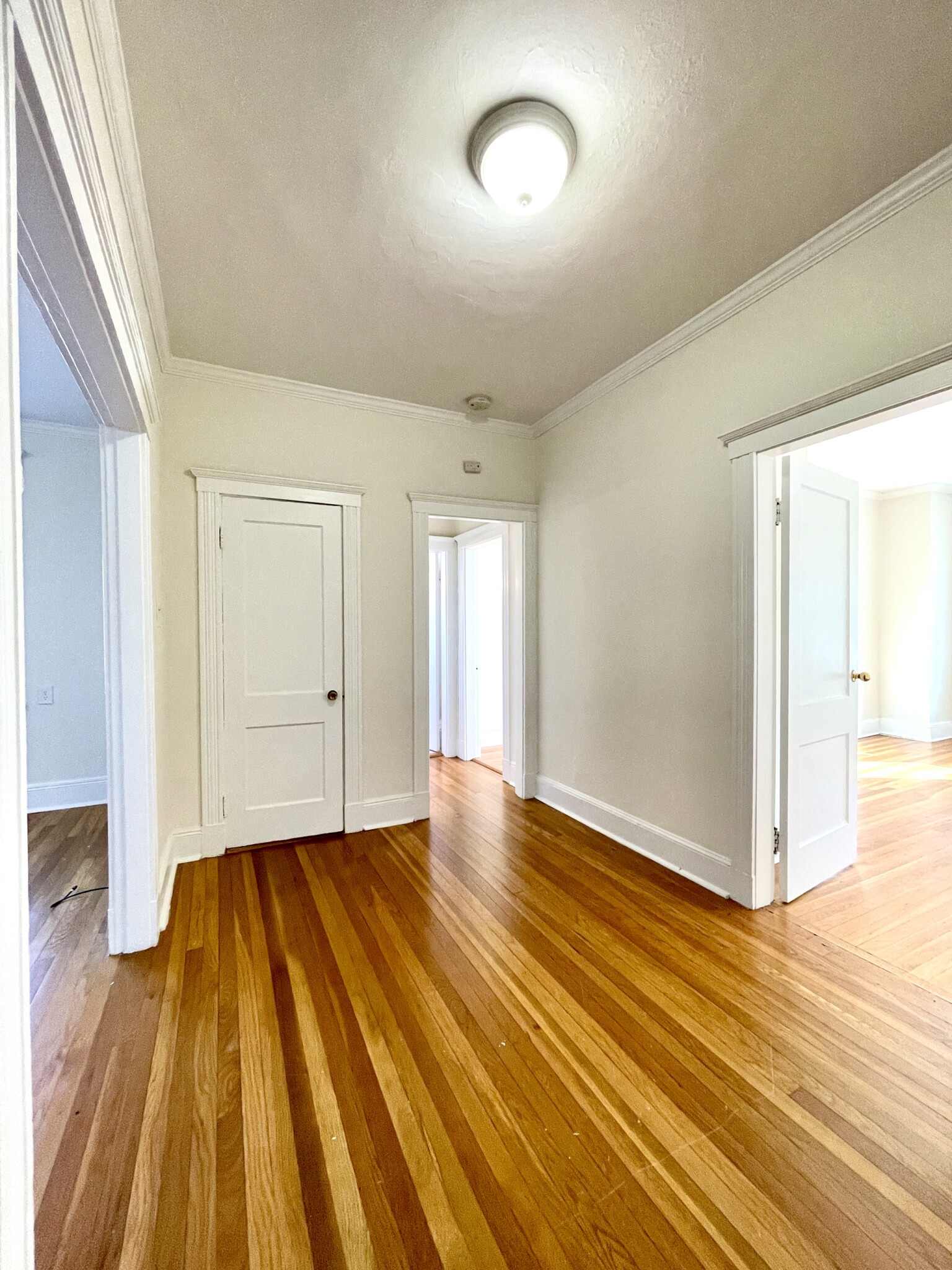 111 Kilsyth Rd, Brighton