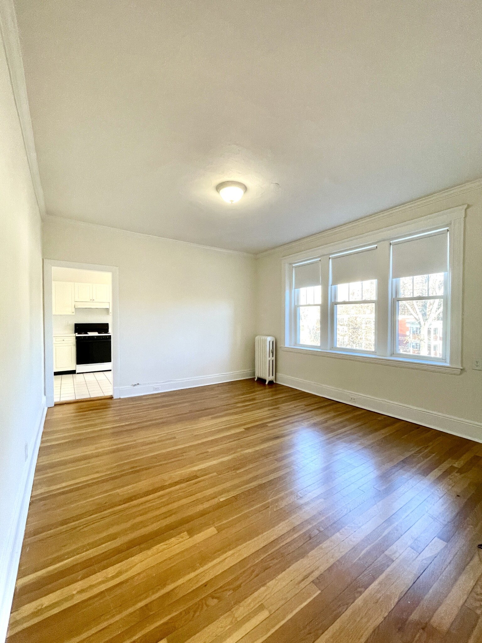 111 Kilsyth Rd, Brighton