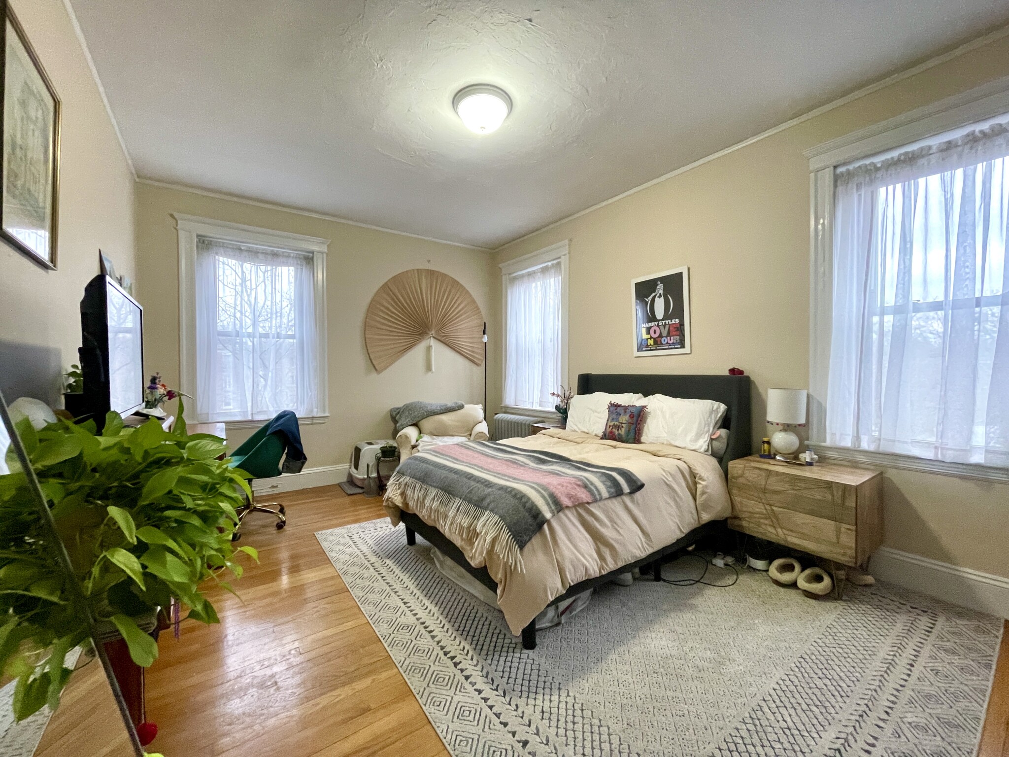 12 Greenway Ct, Coolidge Corner