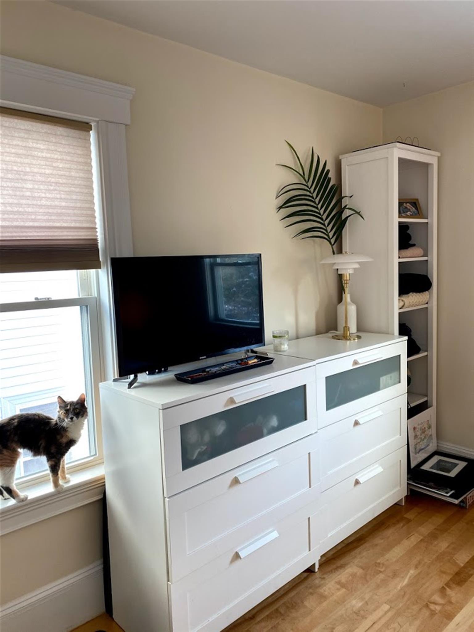 2 bed, 1 bath apartment for rent at 20 Cameron Ave Unit 2, North Cambridge — photo 10 of 14