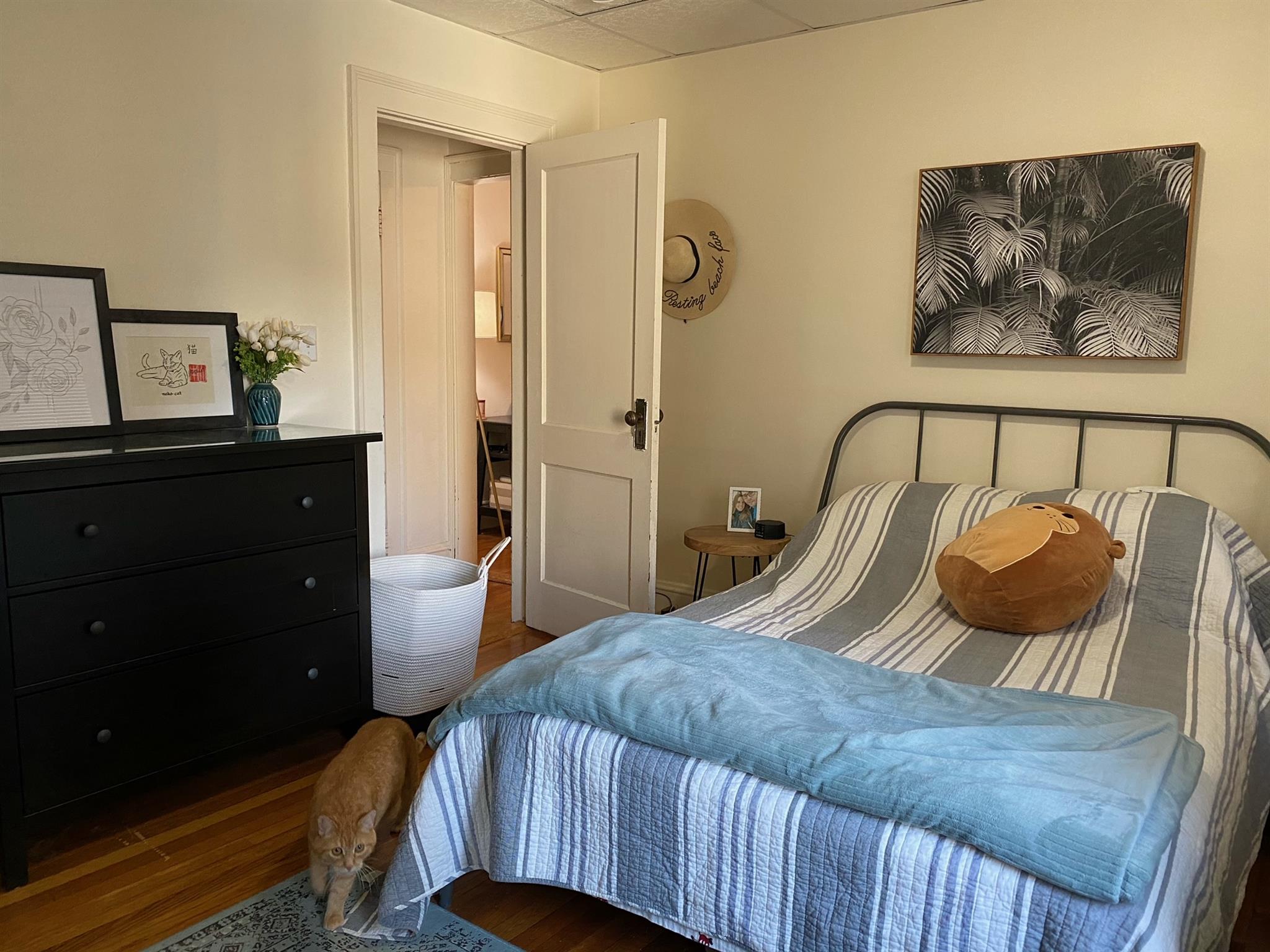 1 bed, 1 bath apartment for rent at 36 College Ave Unit 23, Davis Square — photo 5 of 19