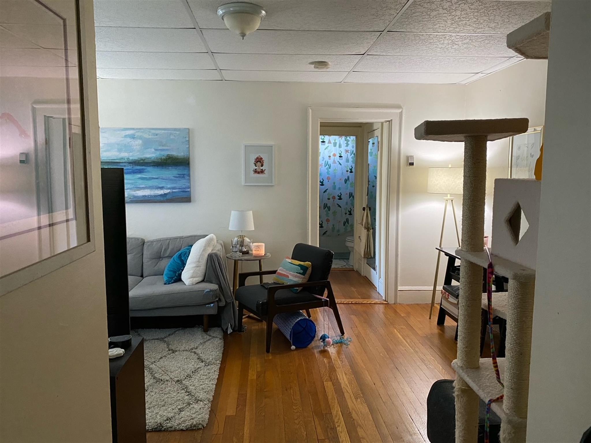 1 bed, 1 bath apartment for rent at 36 College Ave Unit 23, Davis Square — photo 11 of 19