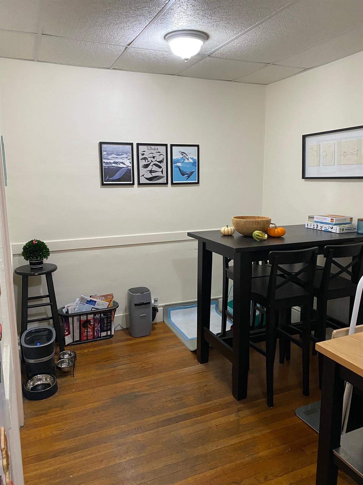 1 bed, 1 bath apartment for rent at 36 College Ave Unit 23, Davis Square — photo 17 of 19
