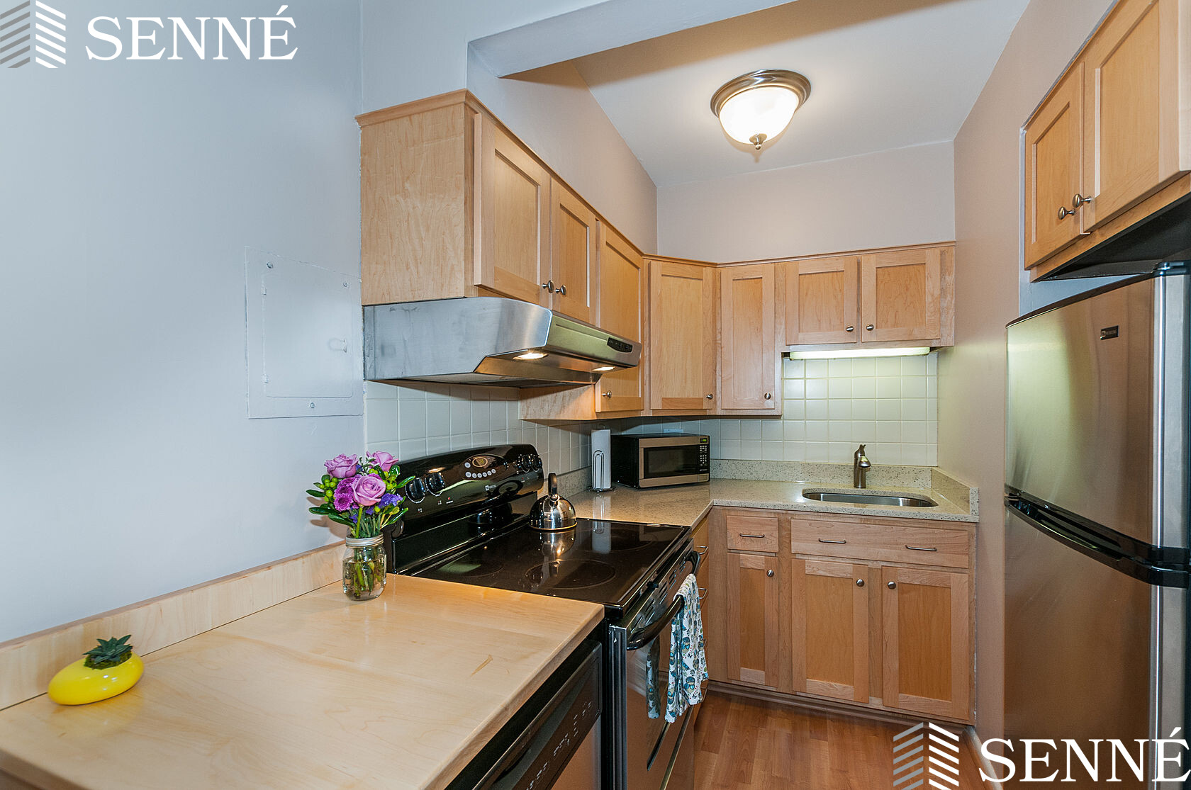 5 Arizona Ter, Arlington