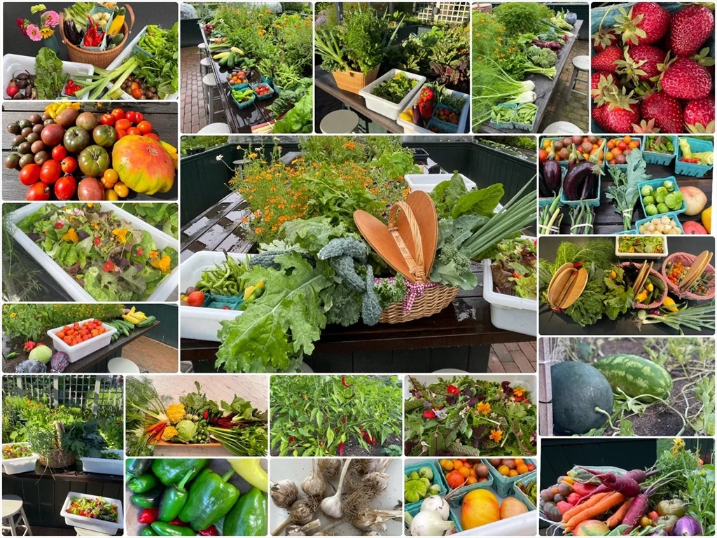 1A Pochick Ave, Nantucket