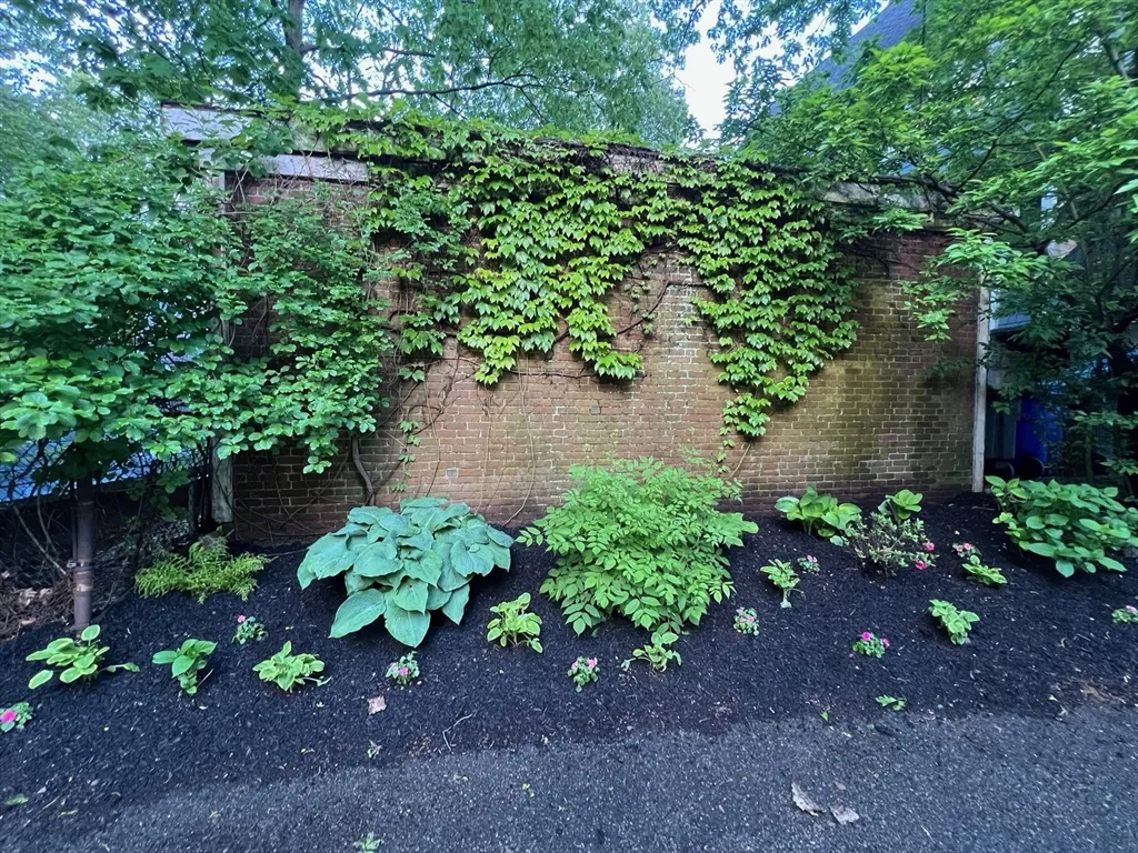 117 Sutherland Rd, Brighton
