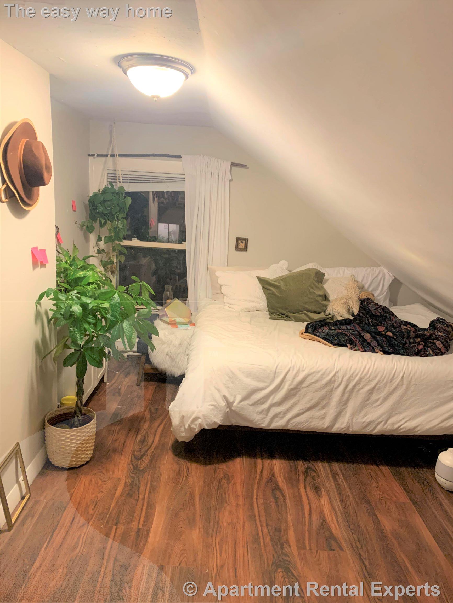 7 Elmer St, Riverside