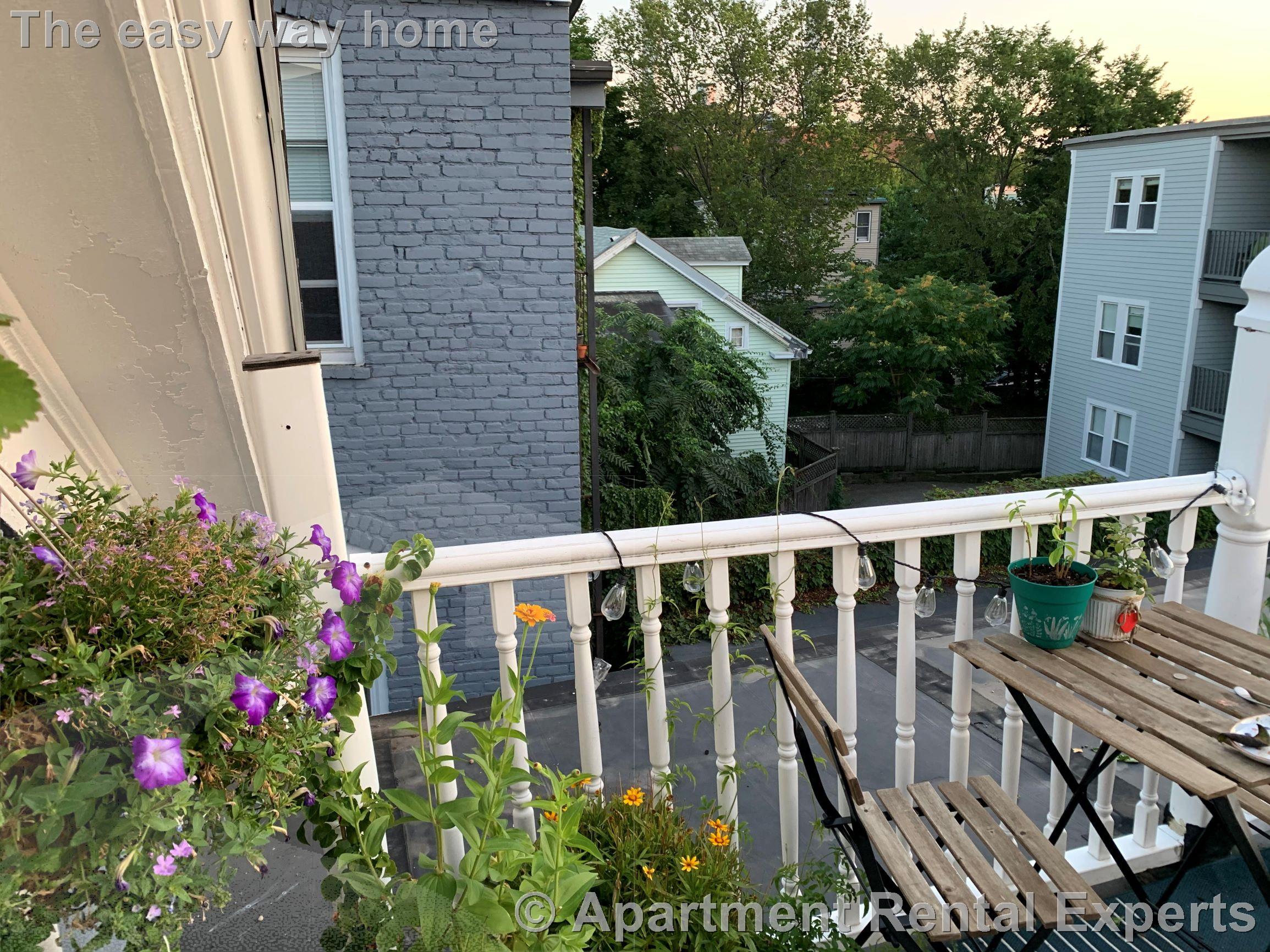 7 Elmer St, Riverside