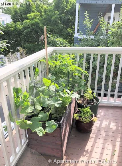 6 Poplar Rd, Huron Village