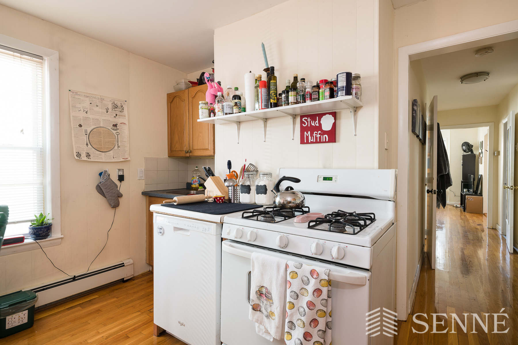 16-18 Bristol St, Wellington-Harrington