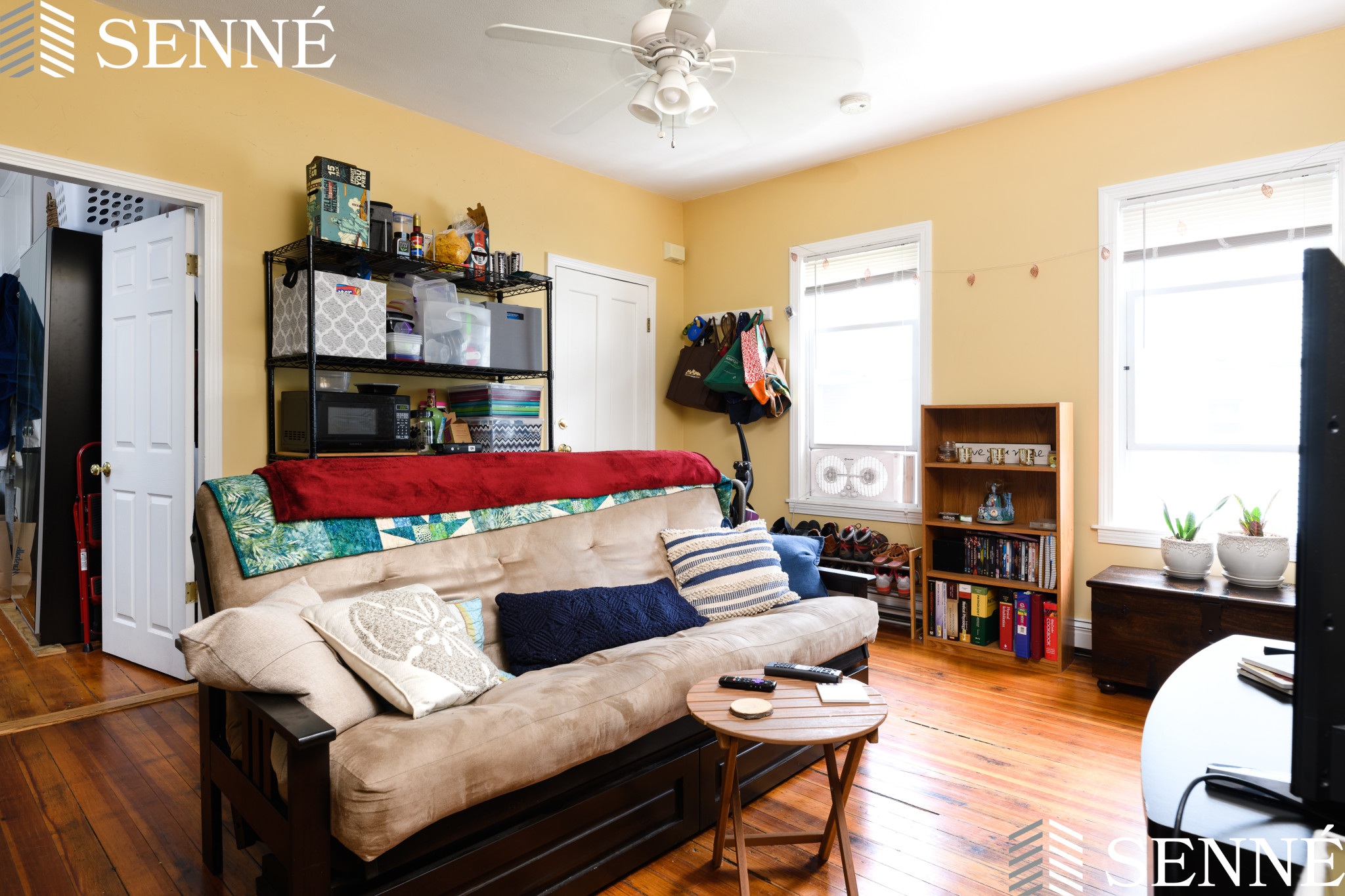 20 Bristol St, Wellington-Harrington