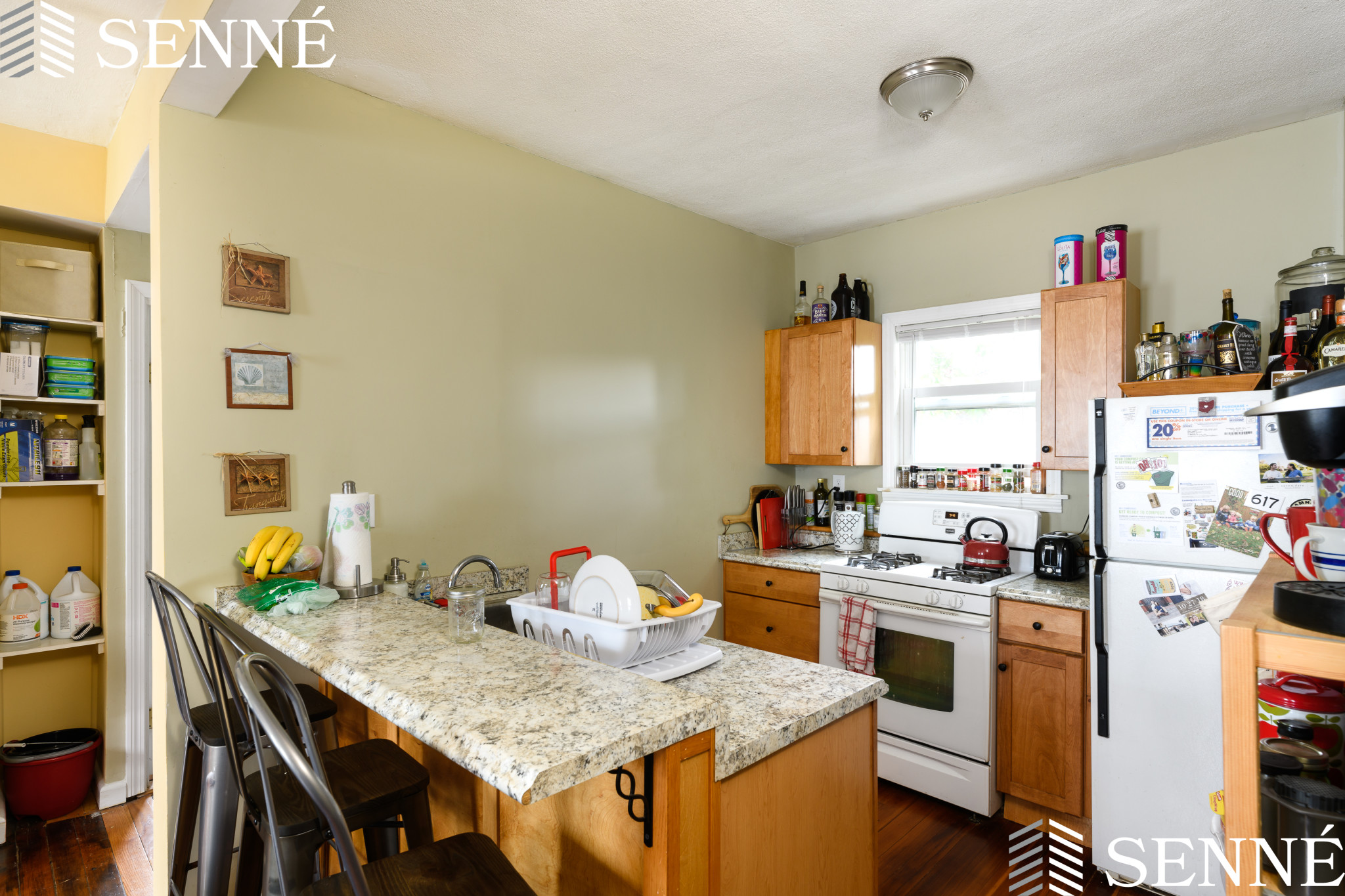 20 Bristol St, Wellington-Harrington