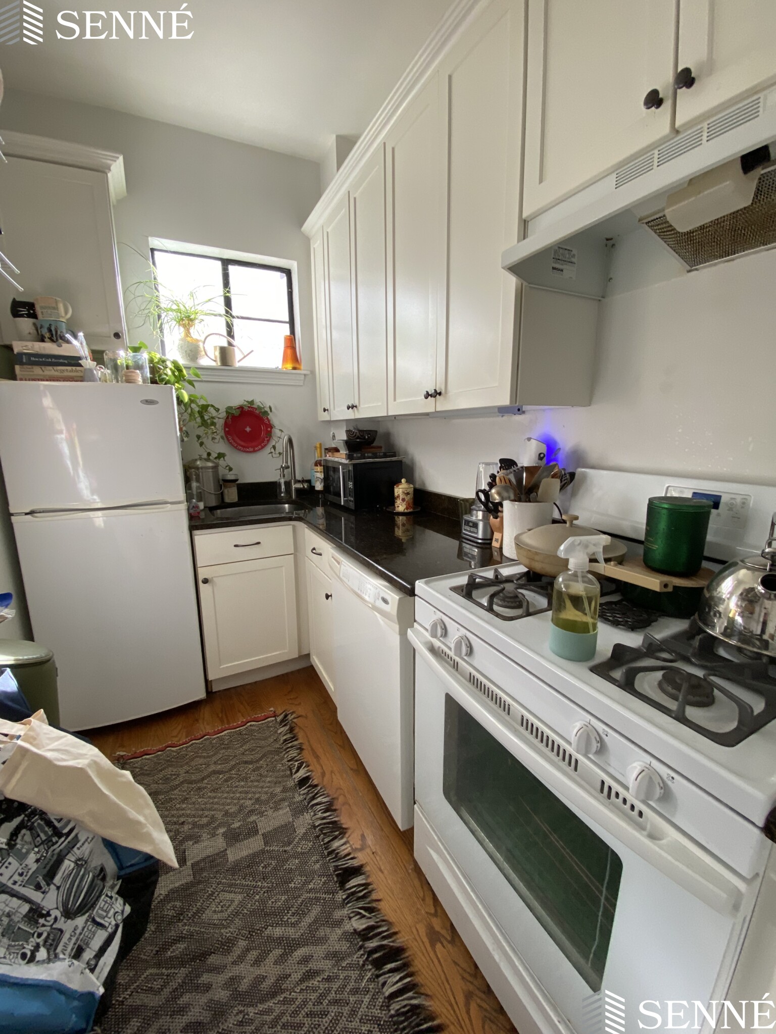 21 Ellery St, Mid-Cambridge