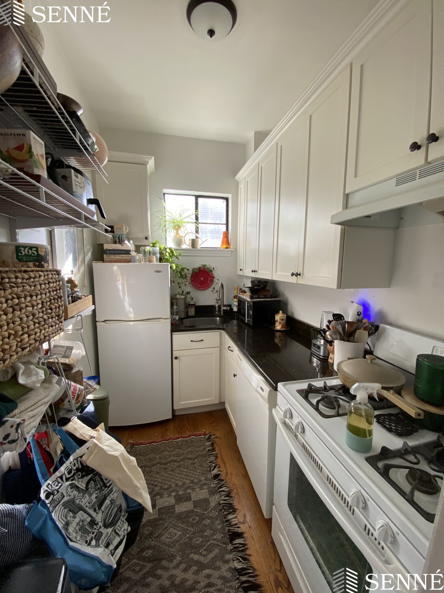 21 Ellery St, Mid-Cambridge