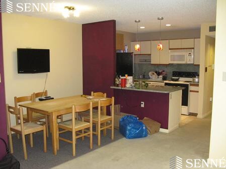 23 Elm St, Spring Hill