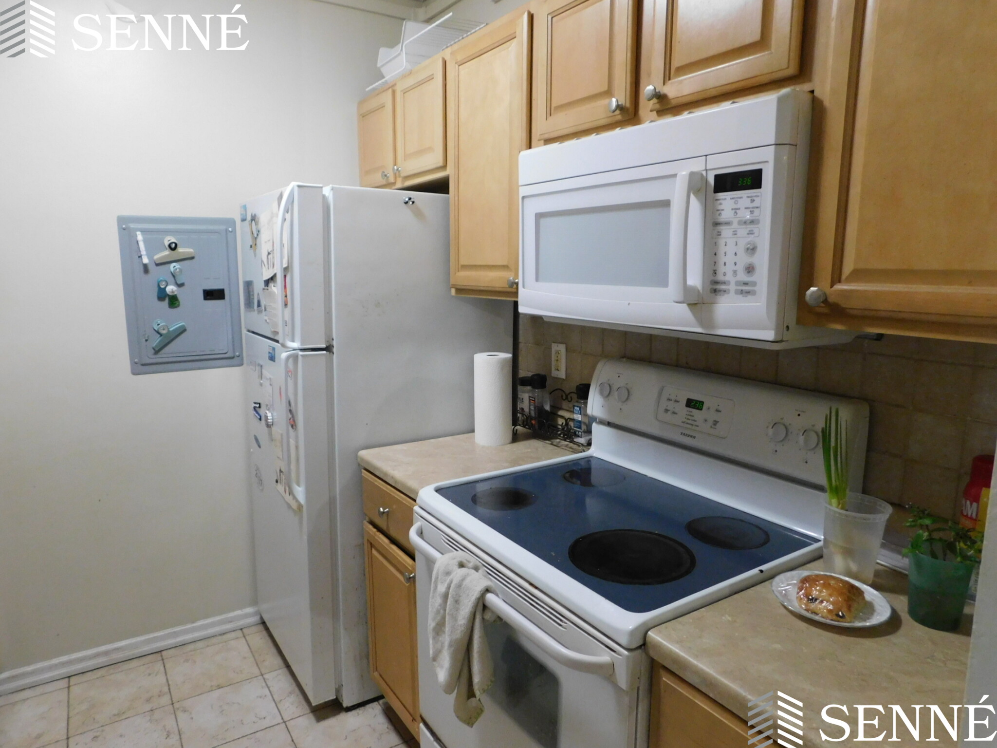 12 Ellery St, Mid-Cambridge