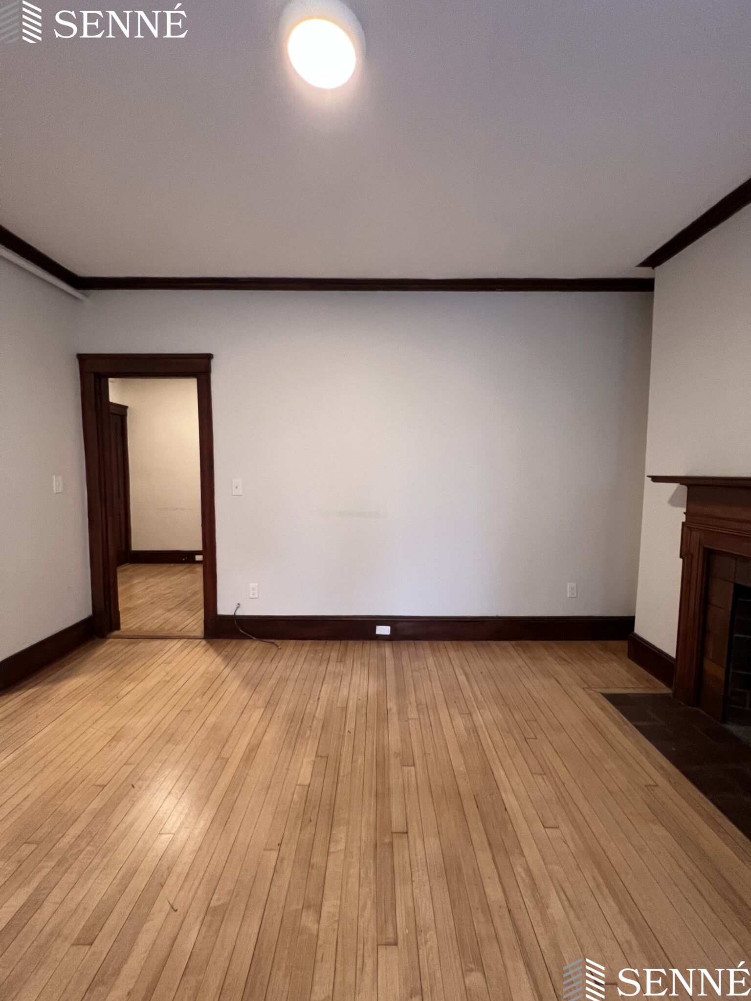 5 Linnaean St, Neighborhood Nine