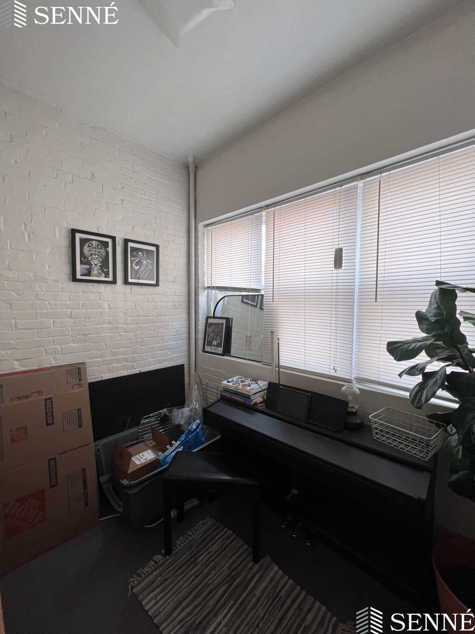 3 Linnaean St, Neighborhood Nine