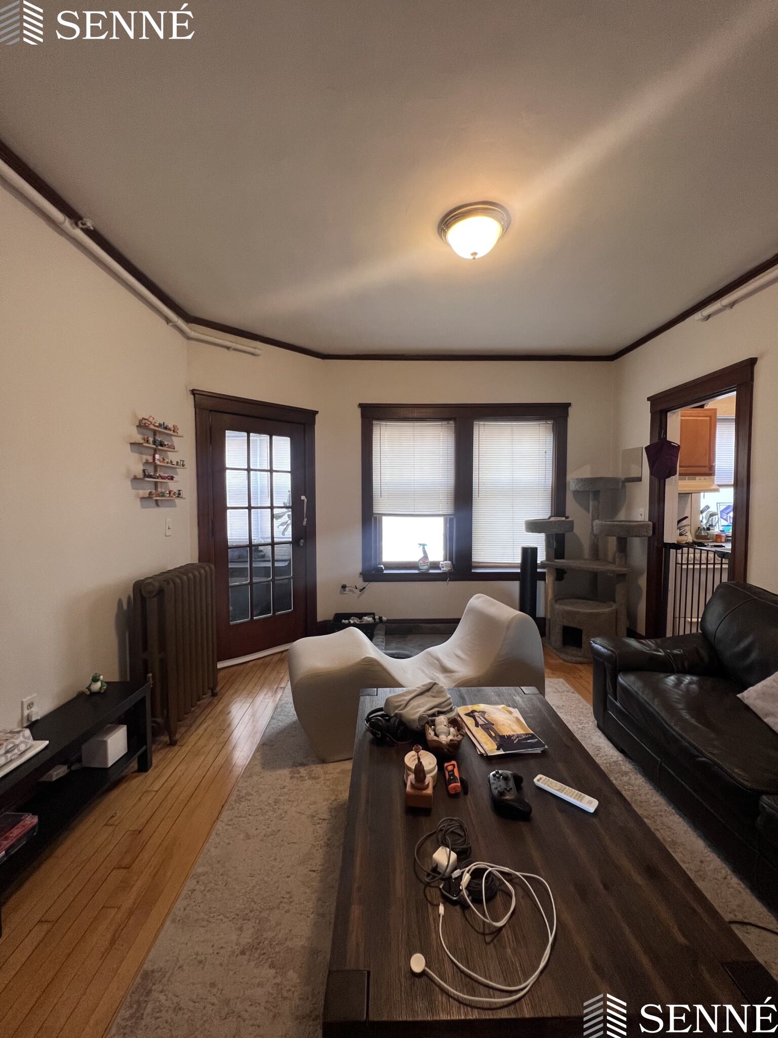 3 Linnaean St, Neighborhood Nine