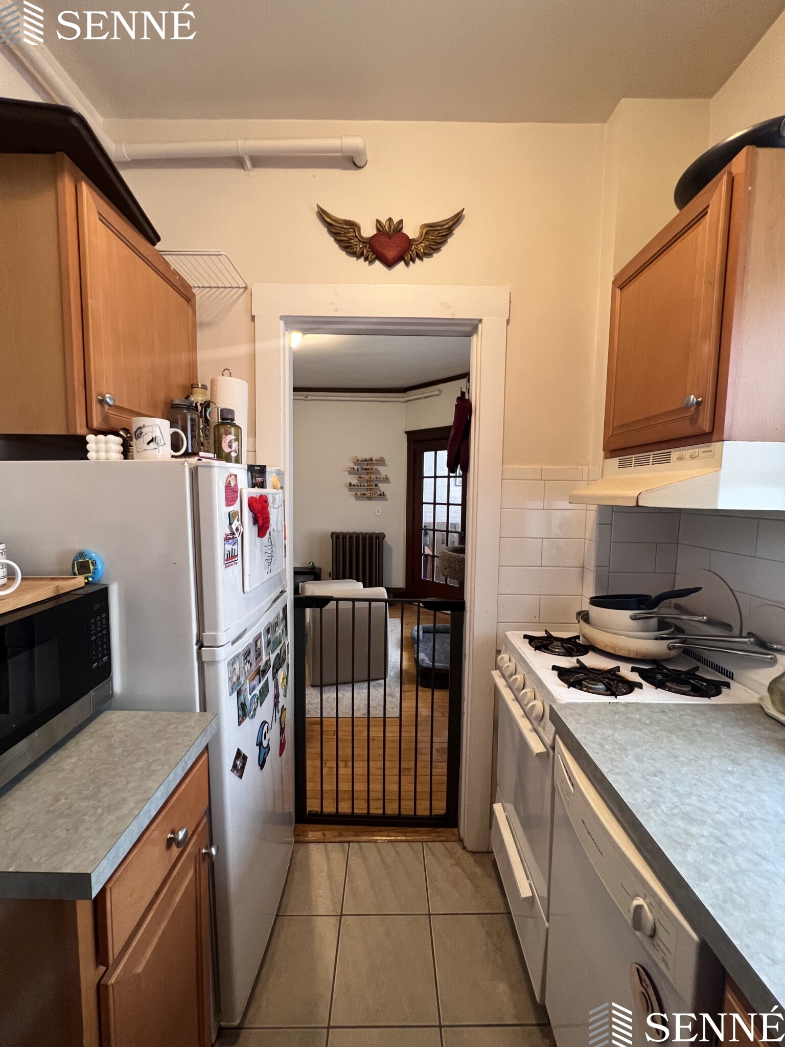 3 Linnaean St, Neighborhood Nine