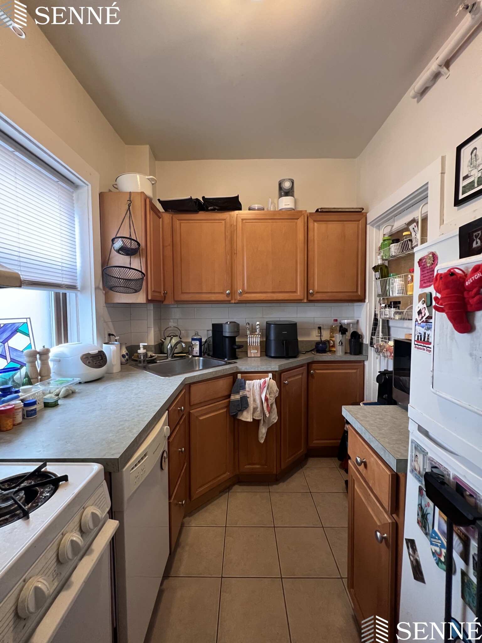 3 Linnaean St, Neighborhood Nine