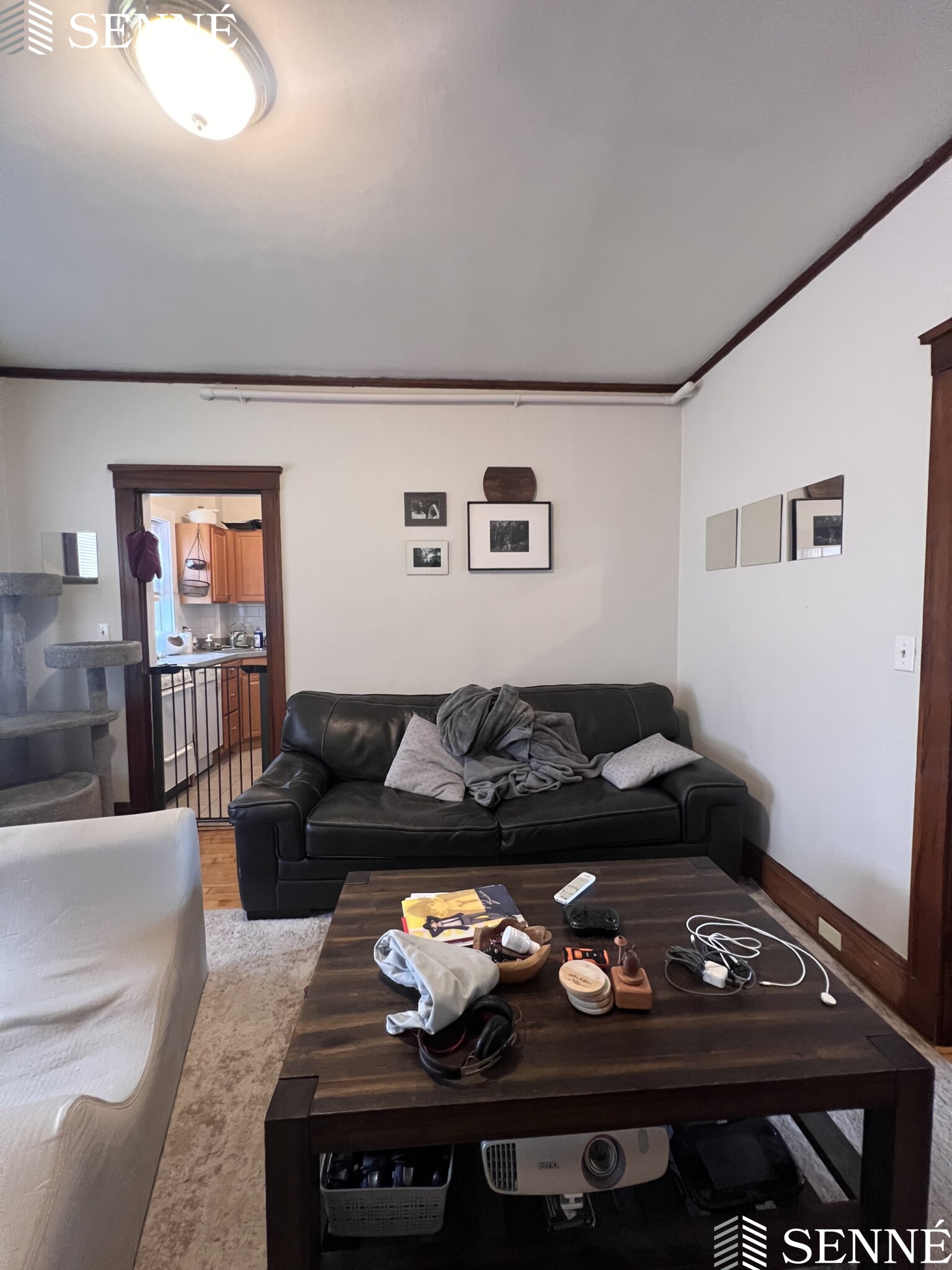 3 Linnaean St, Neighborhood Nine