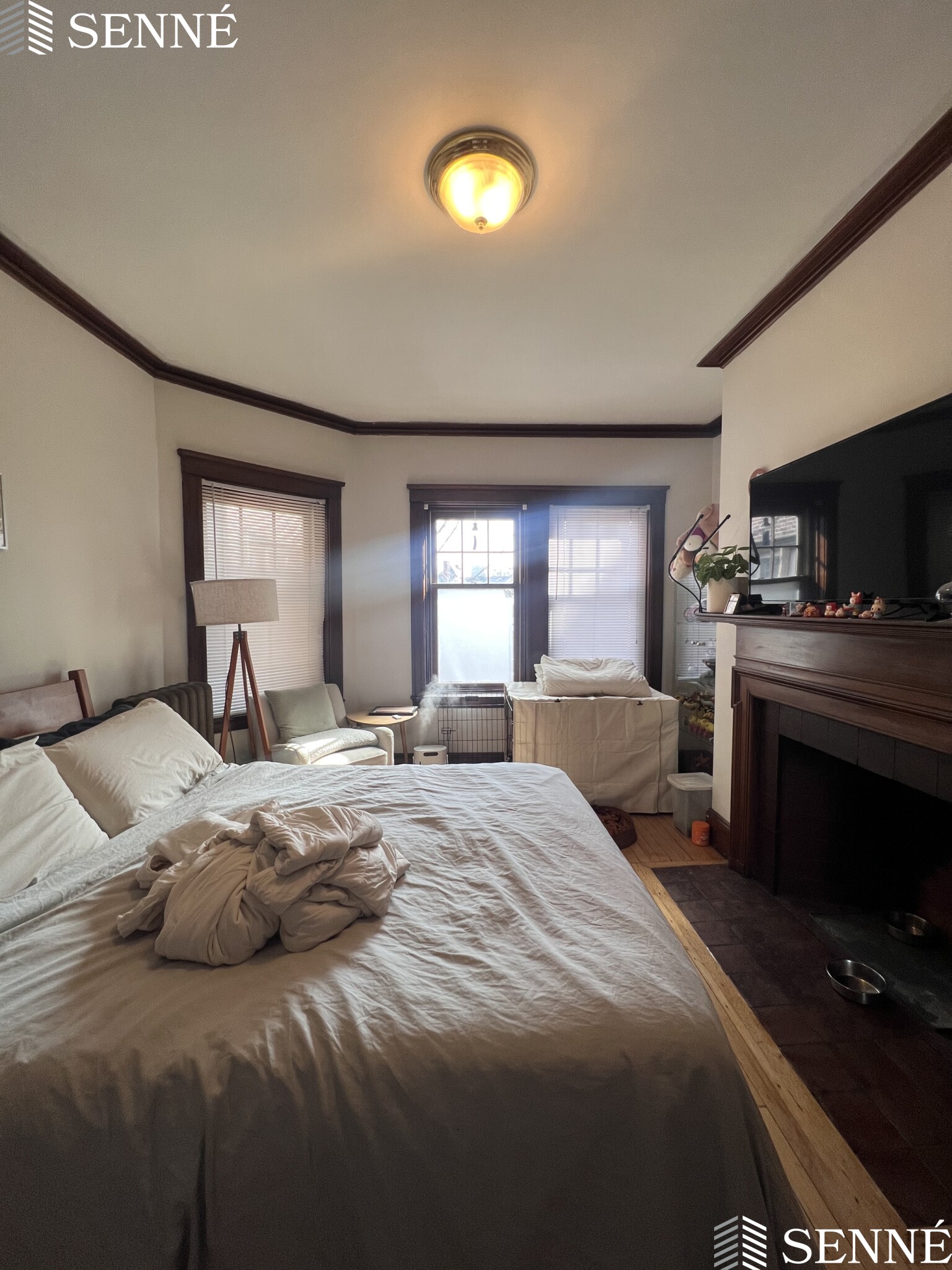 3 Linnaean St, Neighborhood Nine