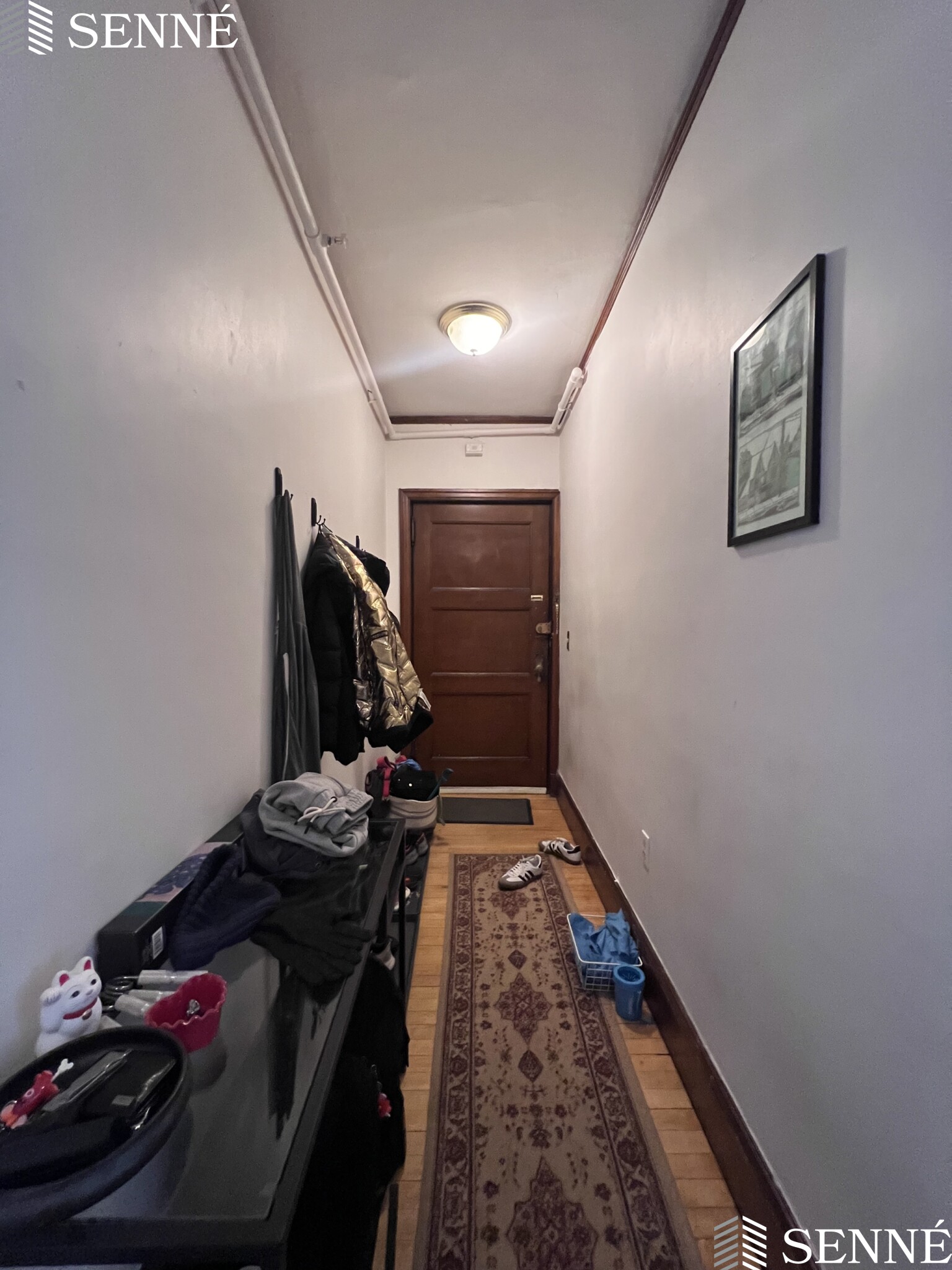 3 Linnaean St, Neighborhood Nine