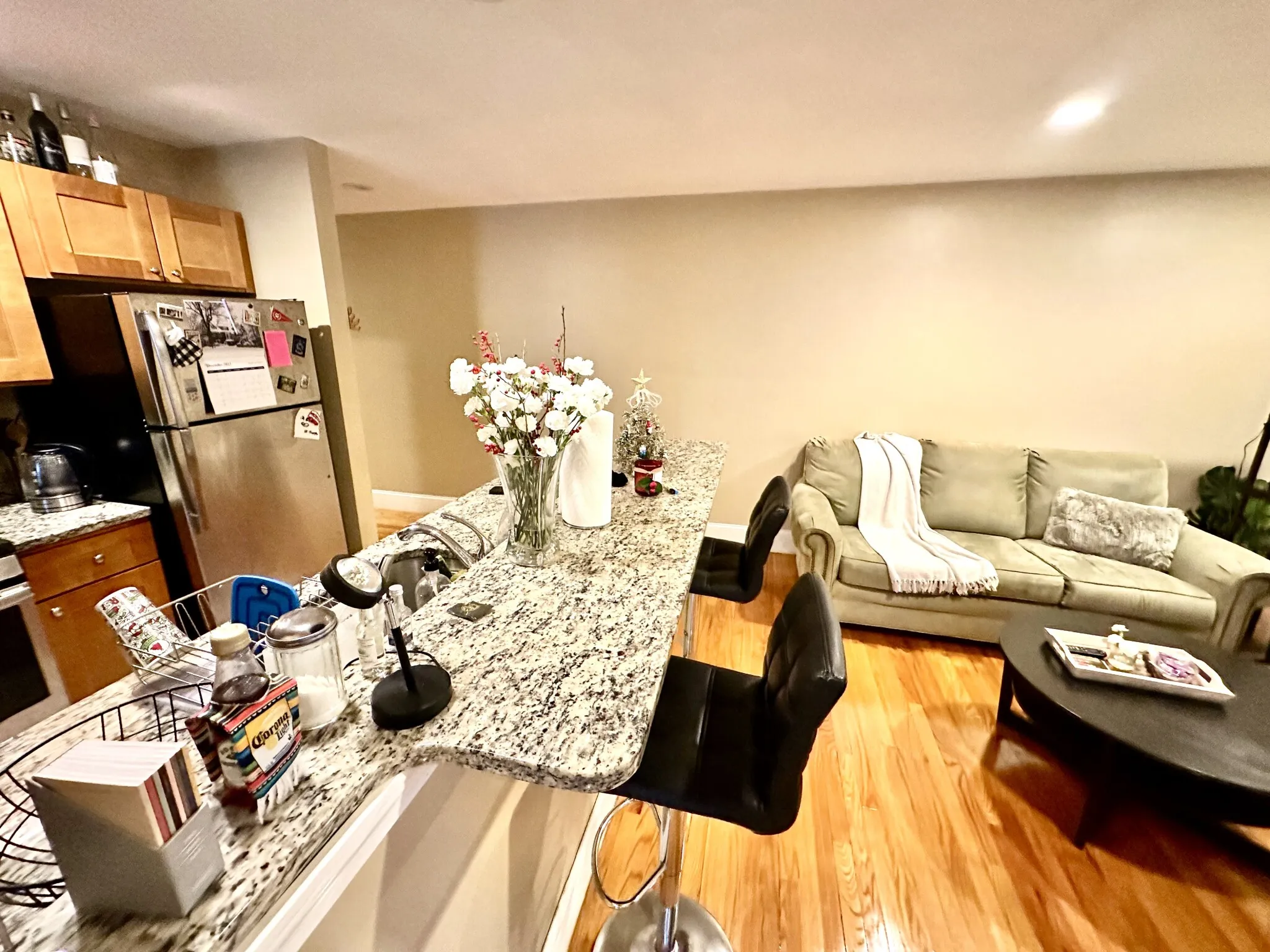 76 Egmont St, North Brookline