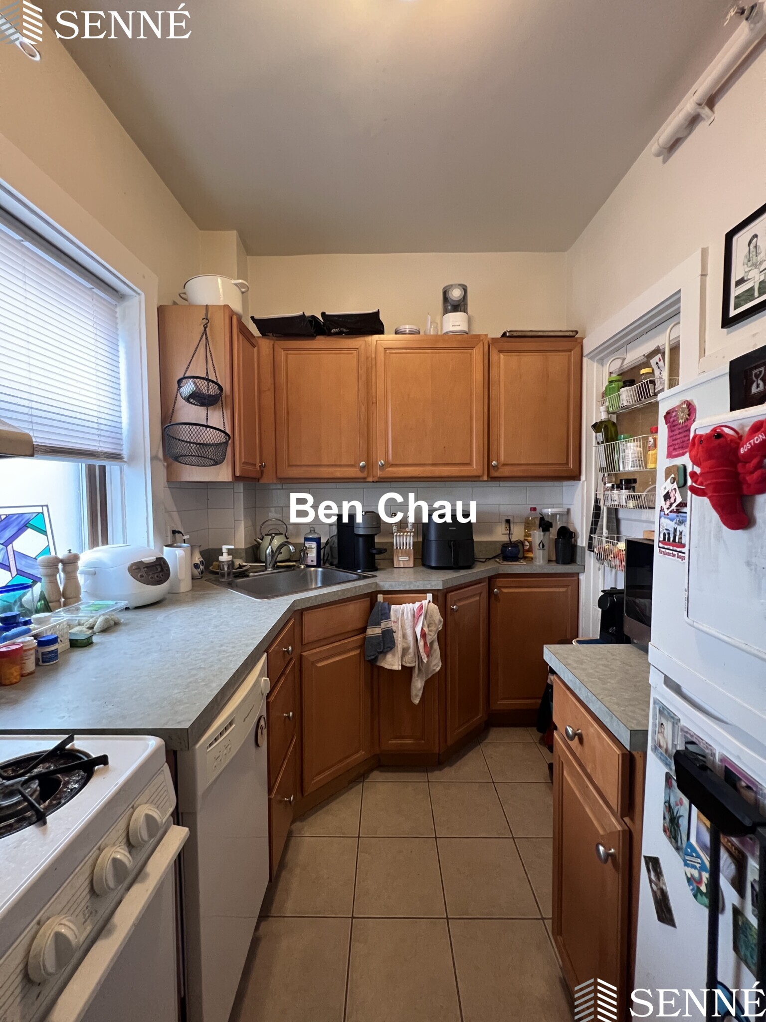 3 Linnaean St, Neighborhood Nine