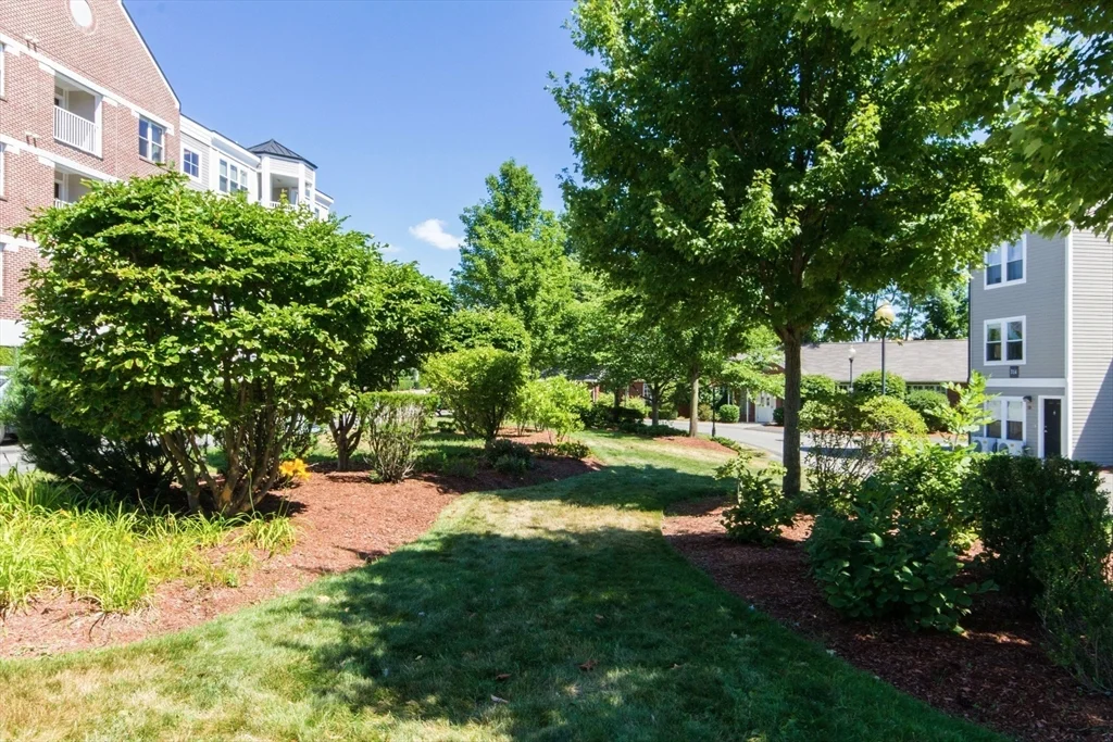 318 Rindge Ave, North Cambridge