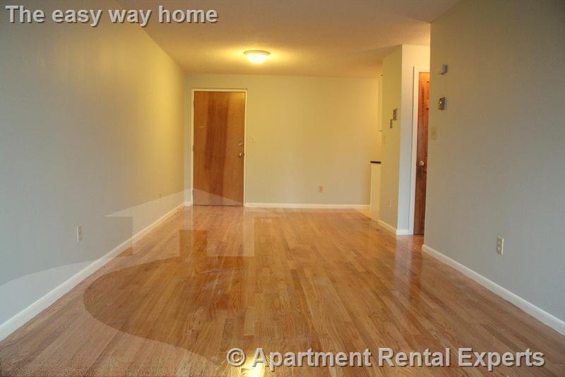 14 Murdock St, Ball Square