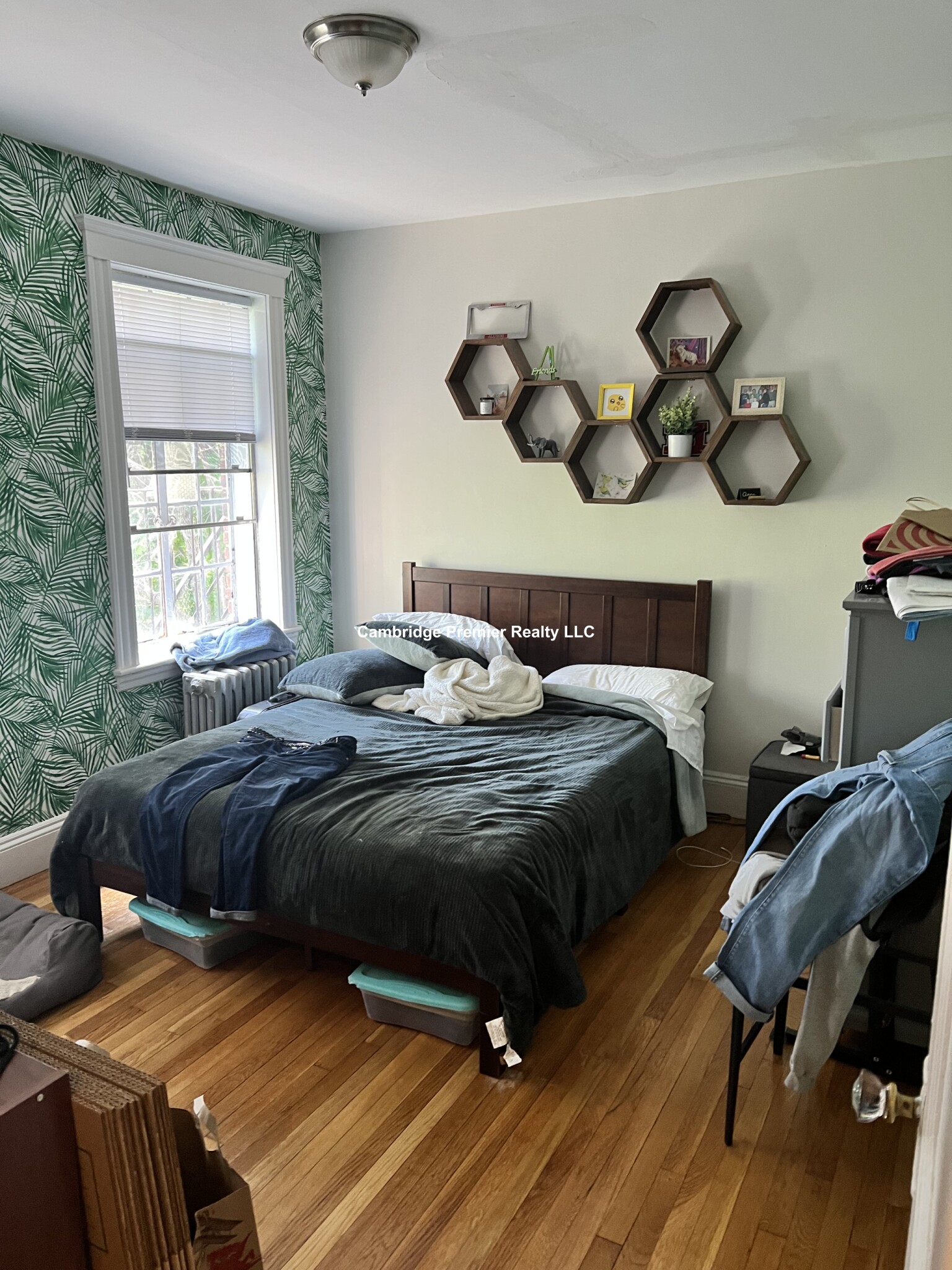 1 bed, 1 bath apartment for rent at 28 Langdon St Unit 14, Neighborhood Nine — photo 2 of 11