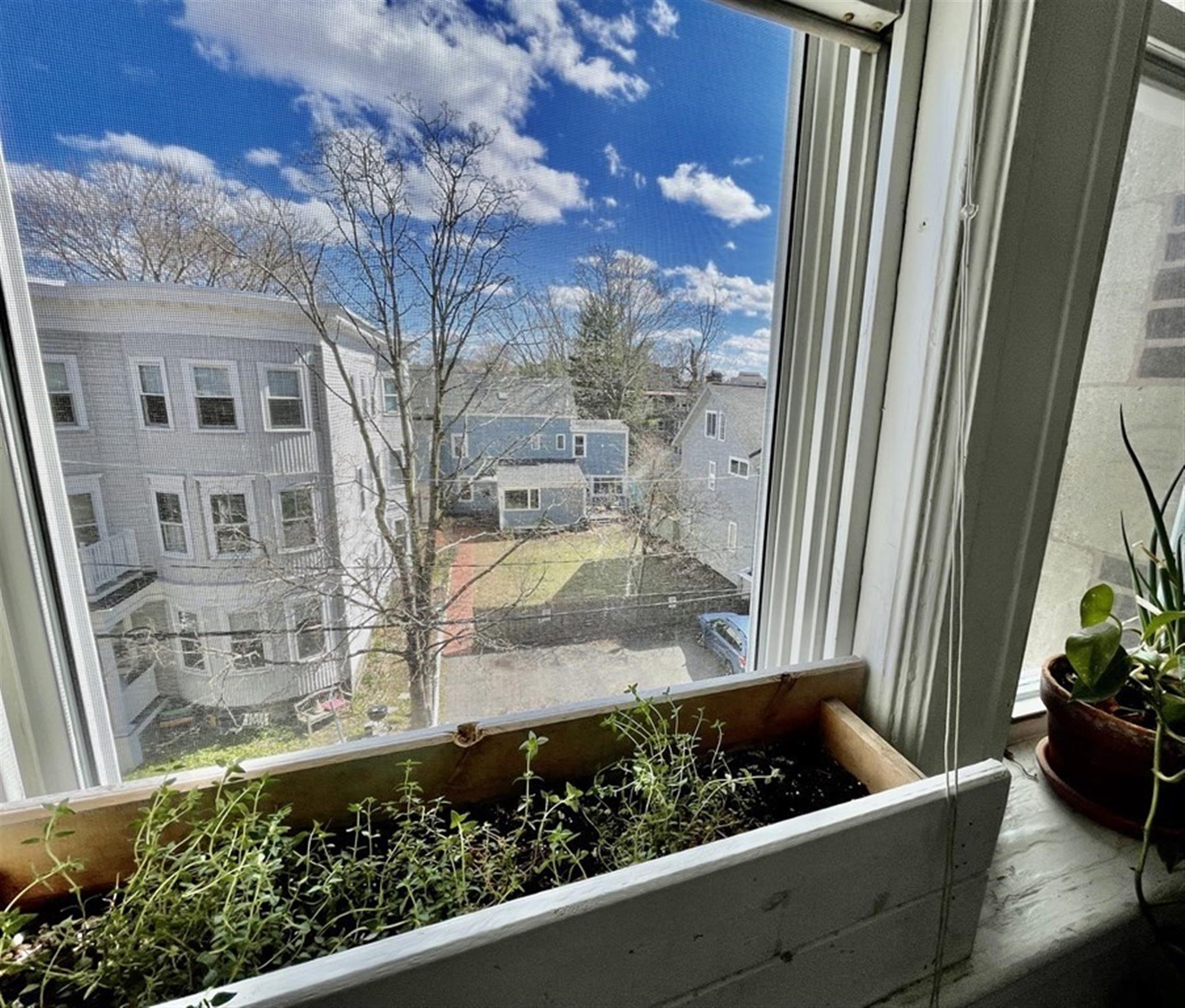 71 Martin St, Neighborhood Nine