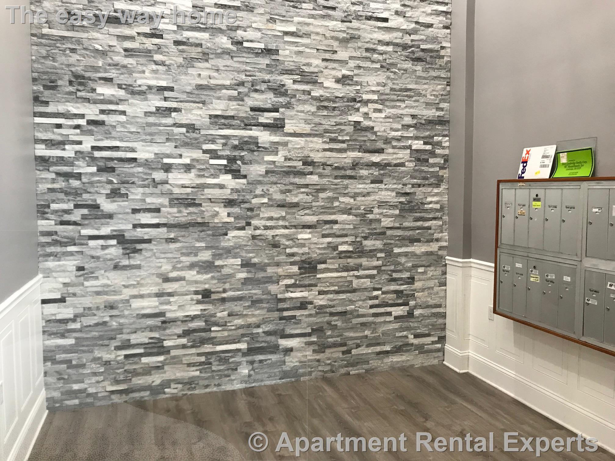 1 bed, 1 bath apartment for rent at 15 Pearl Unit 19, Central Square — photo 7 of 11
