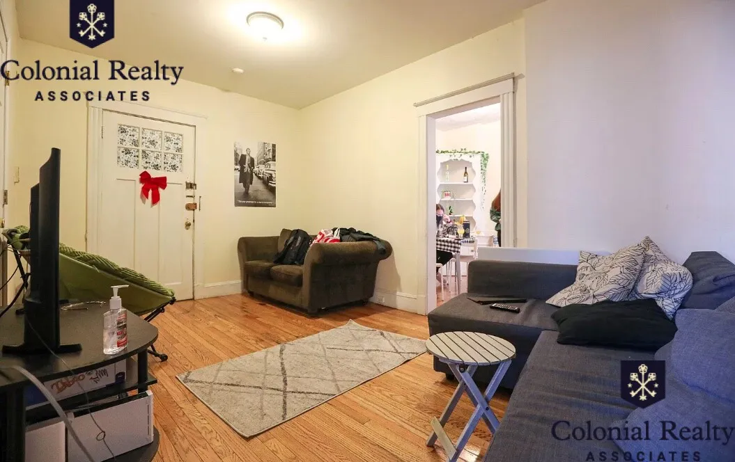 54 Egmont St, North Brookline