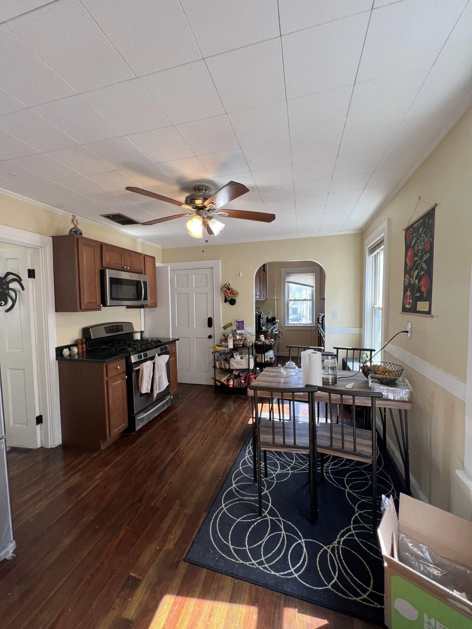 21 Chandler St, Tufts