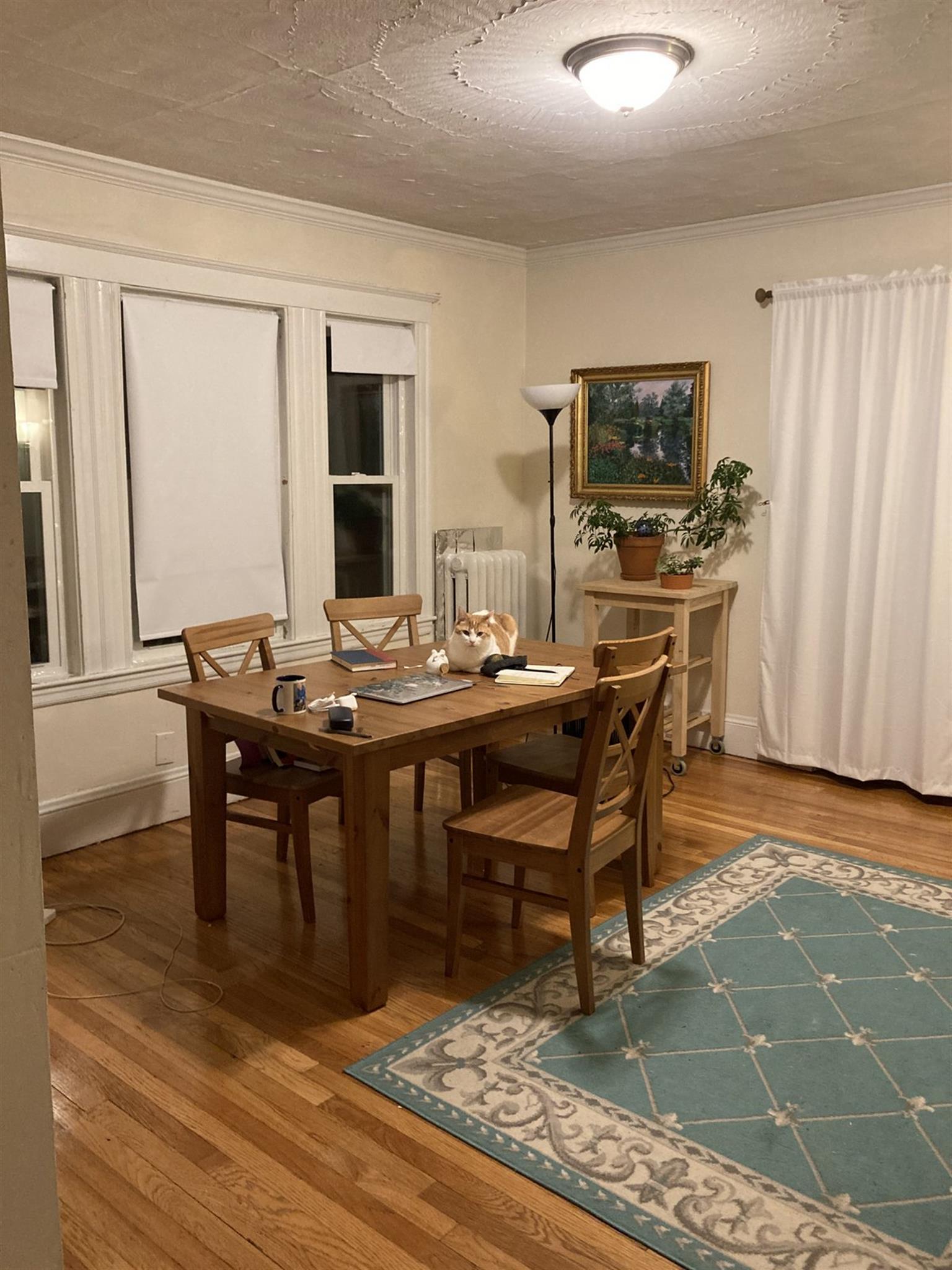 2.5 bed, 1 bath apartment for rent at 37 Edgar Ave Unit 3, Magoun Square — photo 6 of 20