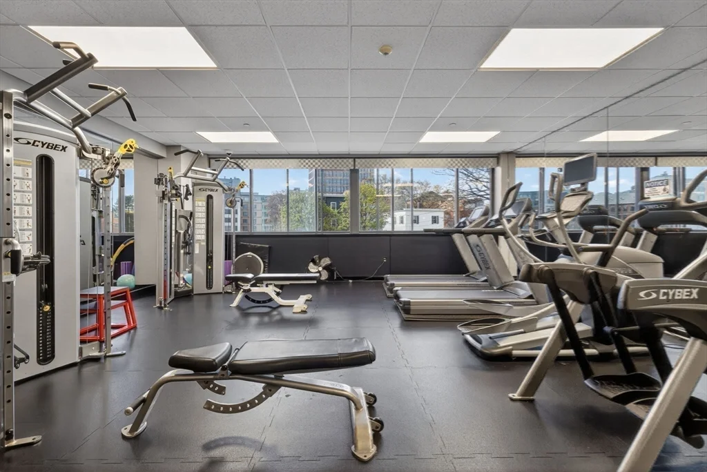 169 Monsignor O'brien Hwy, East Cambridge