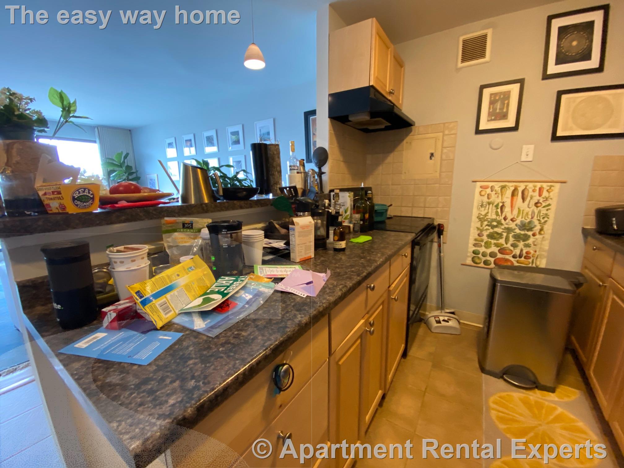 1105 Massachusetts Ave, Harvard Square